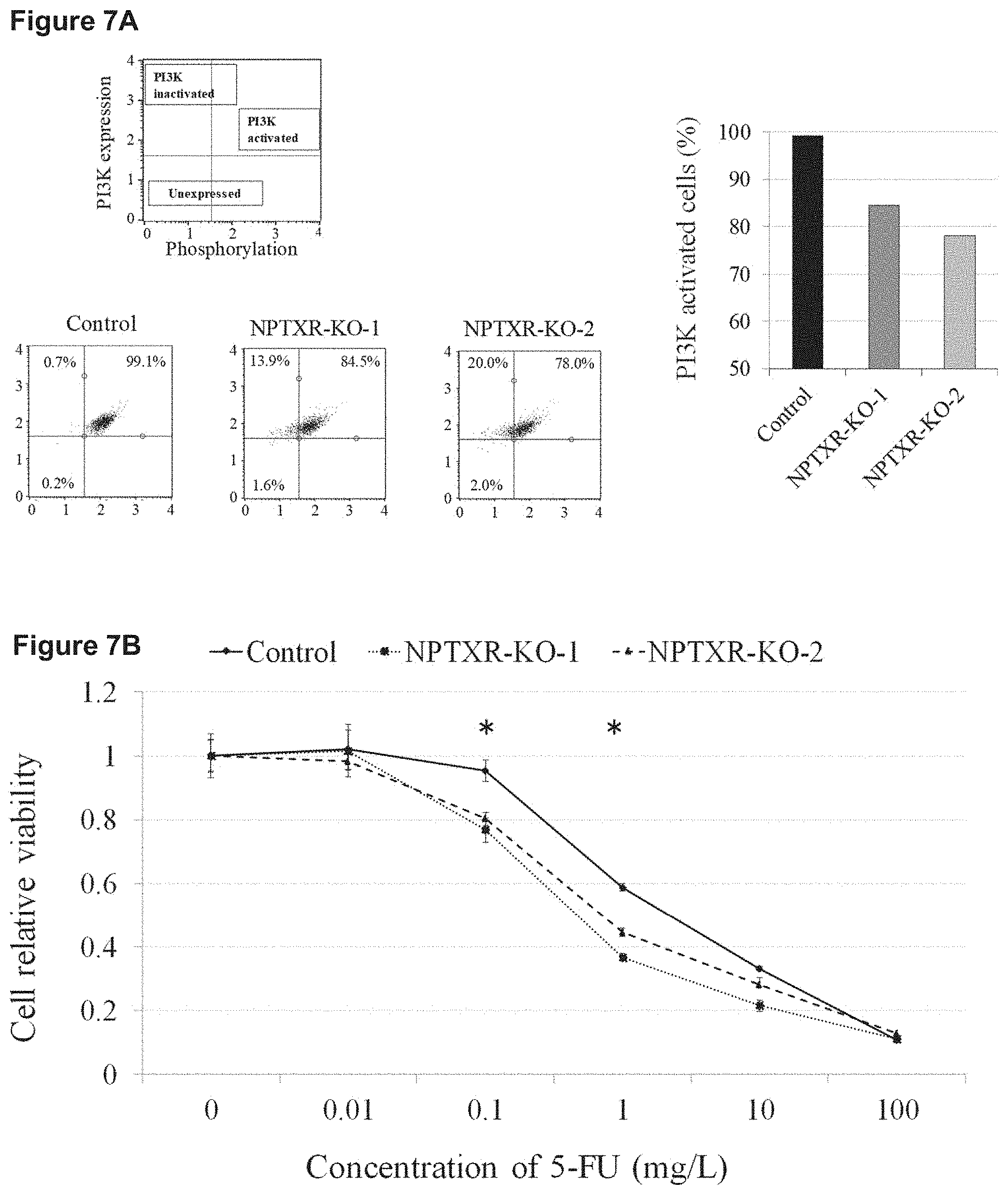 Patent US11773169 Figure 6 – Therapeutic agent targeted to receptor protein, test agent, antibody that binds to receptor protein, and screening method for molecularly targeted drugs