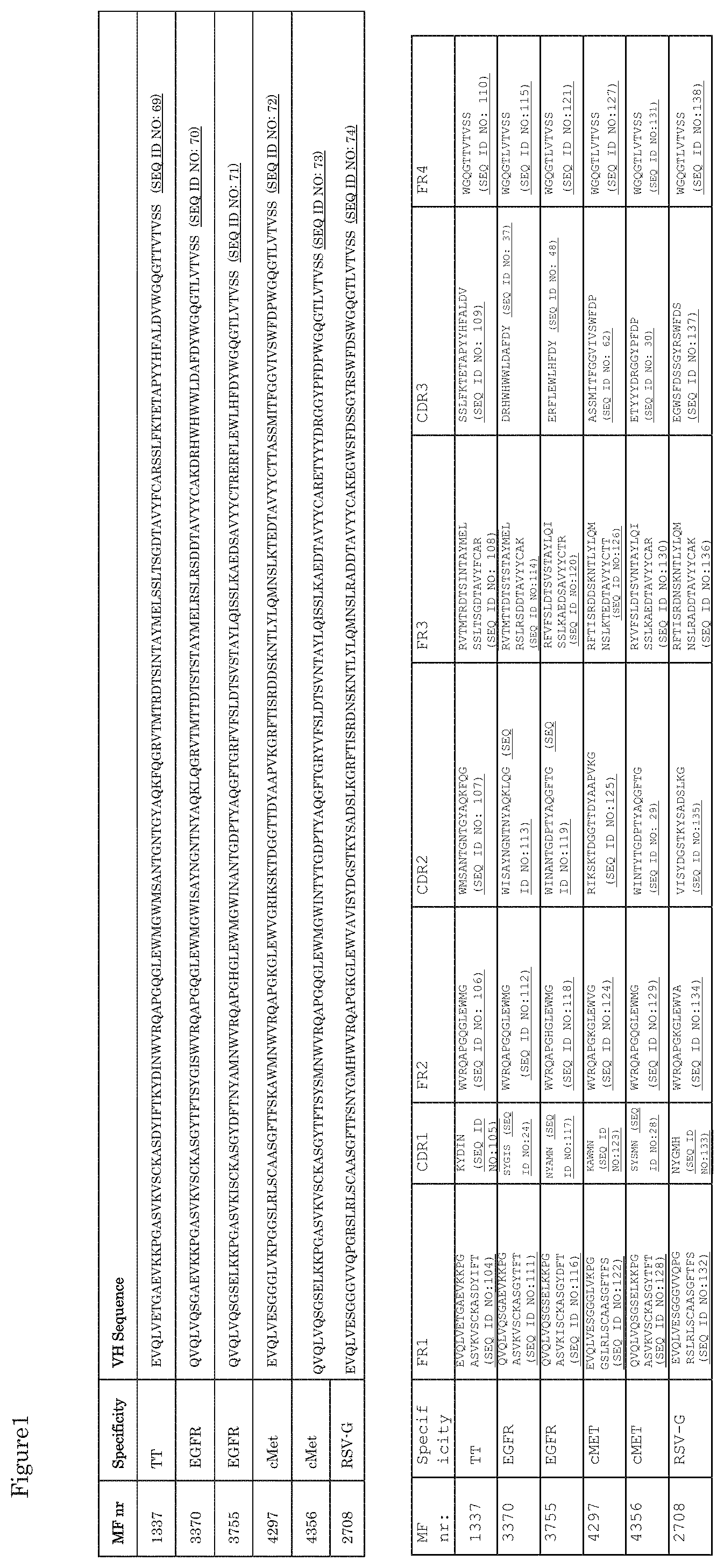 Patent US11773170 — Antibodies that bind EGFR and cMET — Figure 1