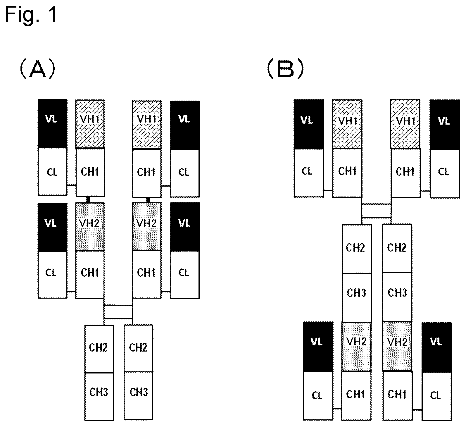 Patent US11773180 — Bispecific antibody which binds to CD40 and EpCAM — Figure 1