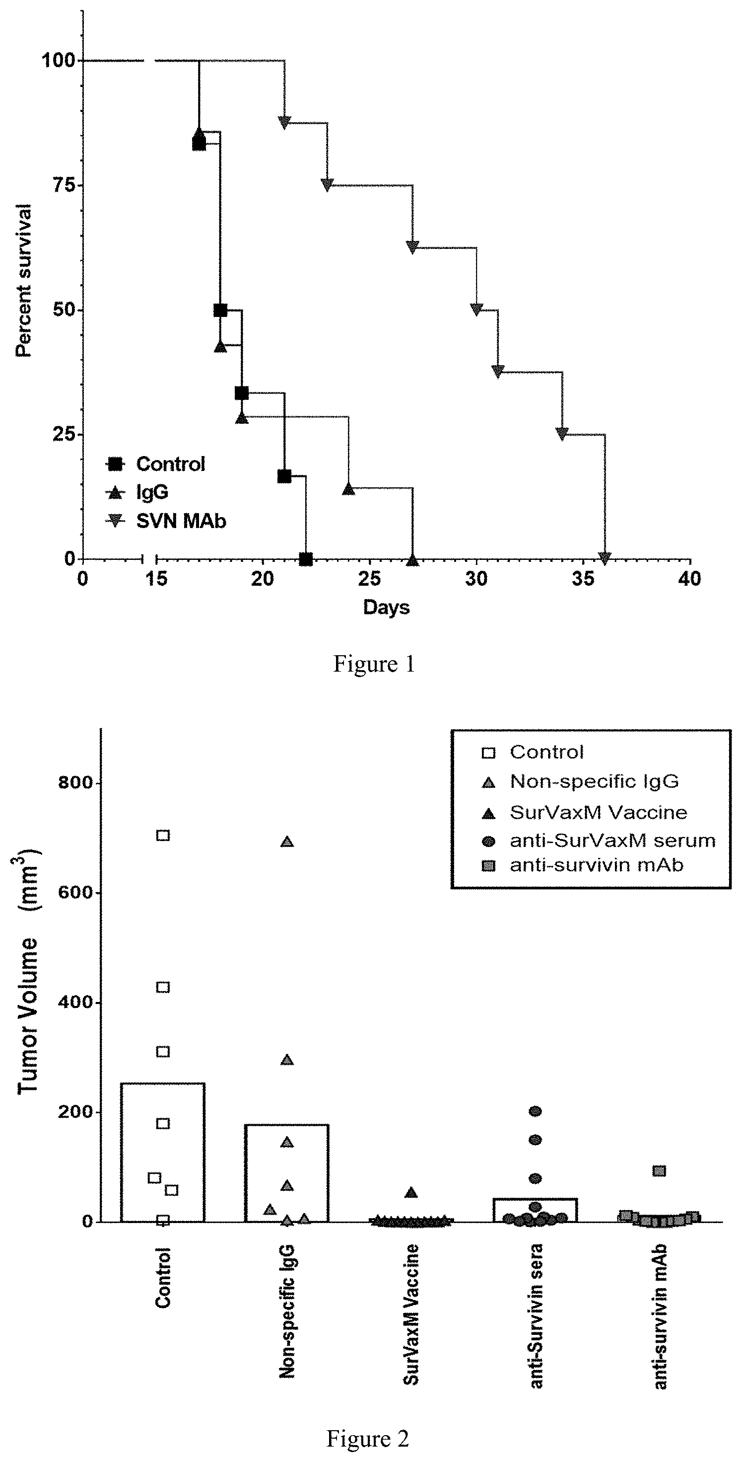 Patent US11773181 — Anti-survivin antibodies for cancer therapy — Figure 1
