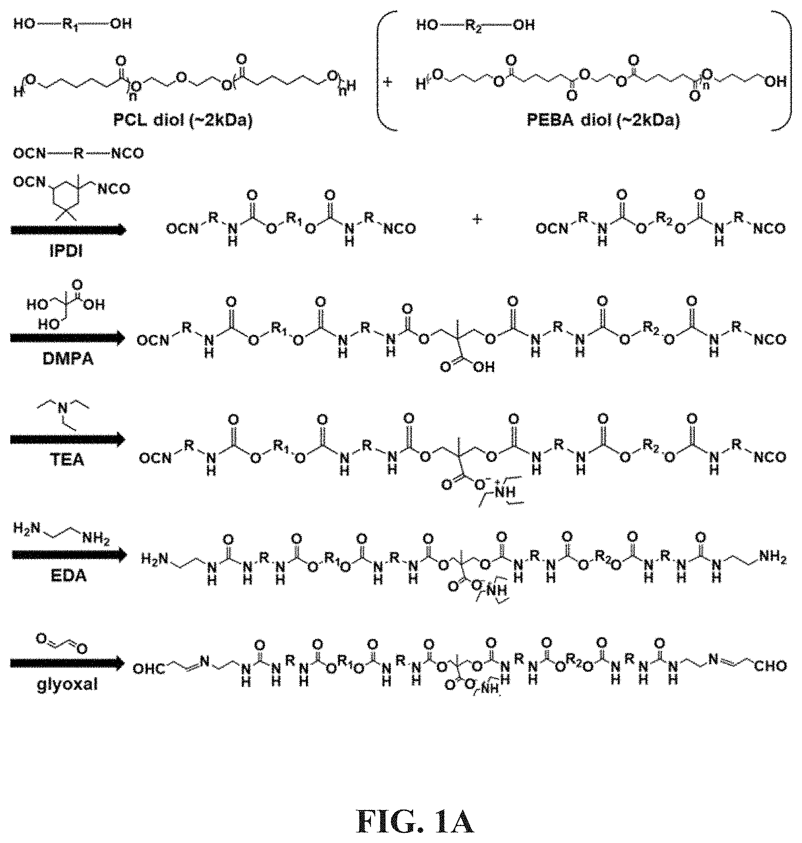 Patent US11773205 — Crosslinking agent, preparation process and uses thereof, hydrogel and biodegradable cryogel comprising crosslinking agent — Figure 1