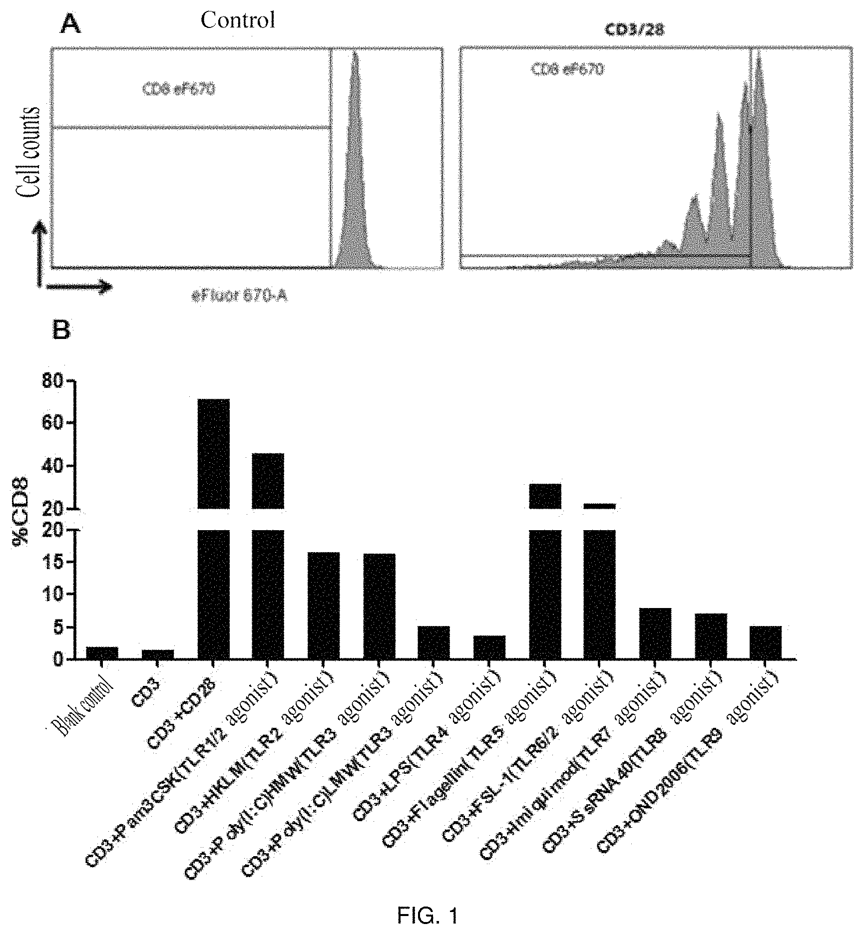 Patent US11773373 — Method for amplifying CD8+T cells and cell subpopulations thereof in-vitro — Figure 1