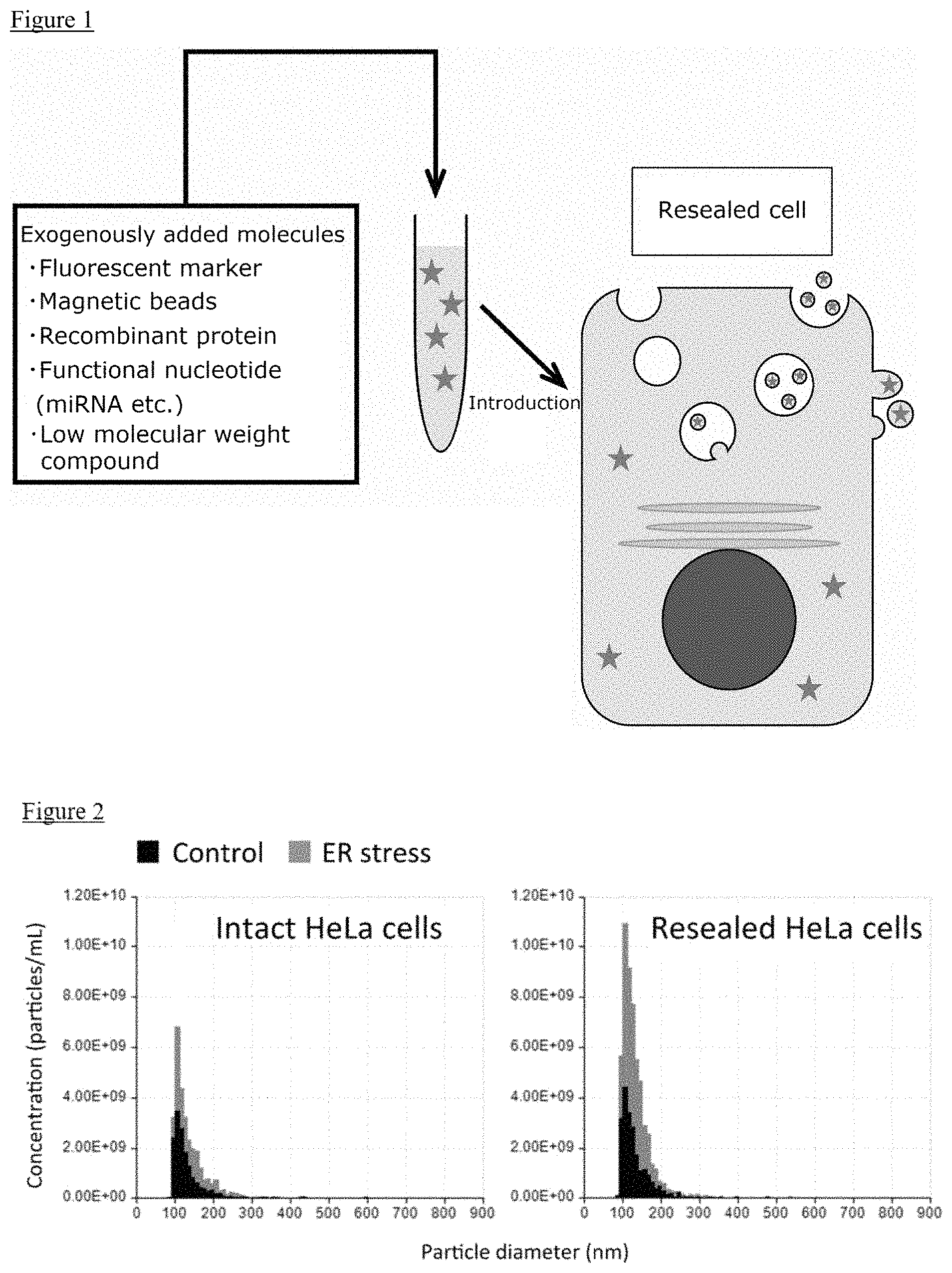 Patent US11773377 — Method for producing exosomes and exosomes obtained thereby — Figure 1