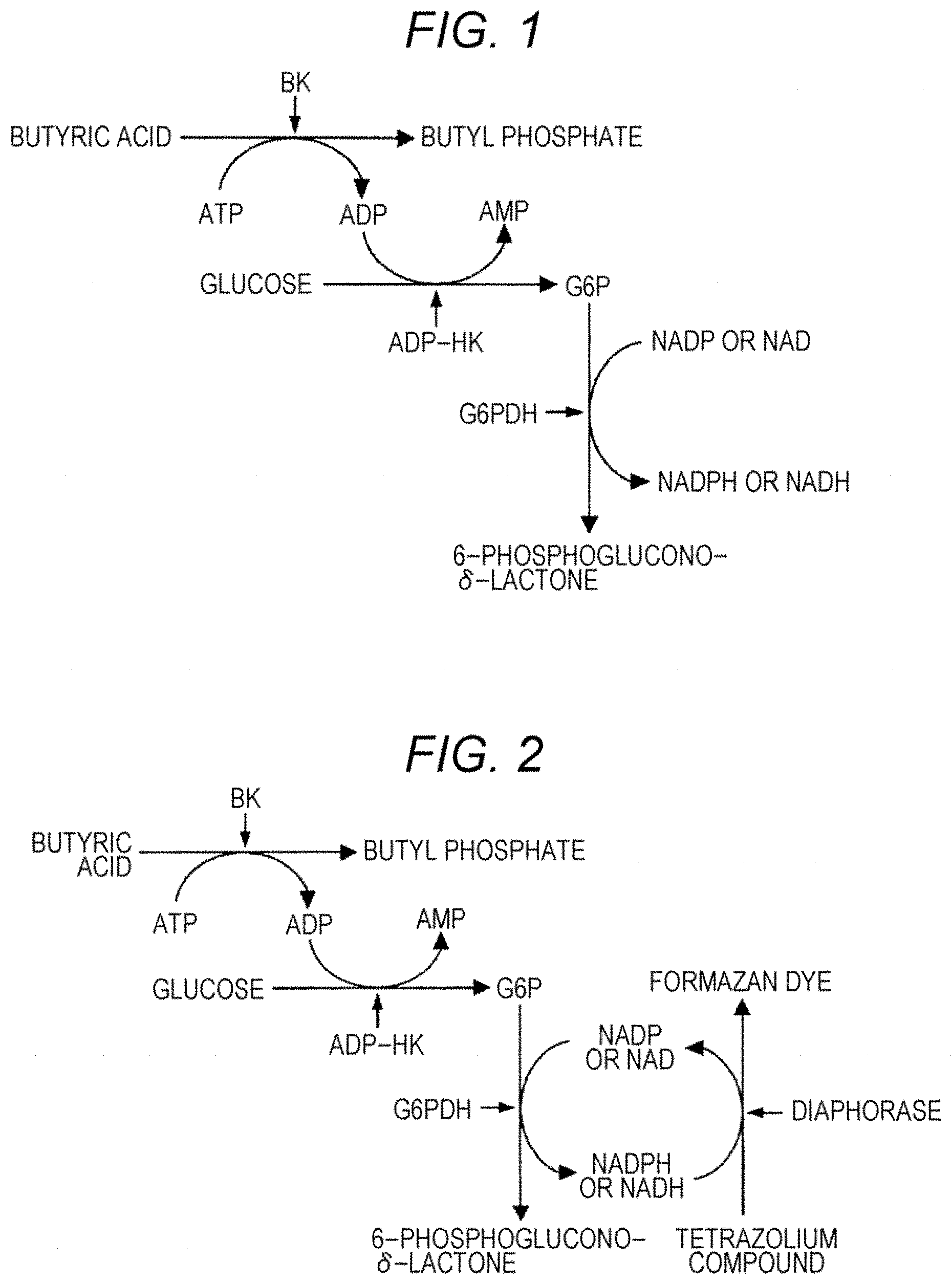 Patent US11773379 — Enzymes and reagents for measurement of short chain fatty acids — Figure 1