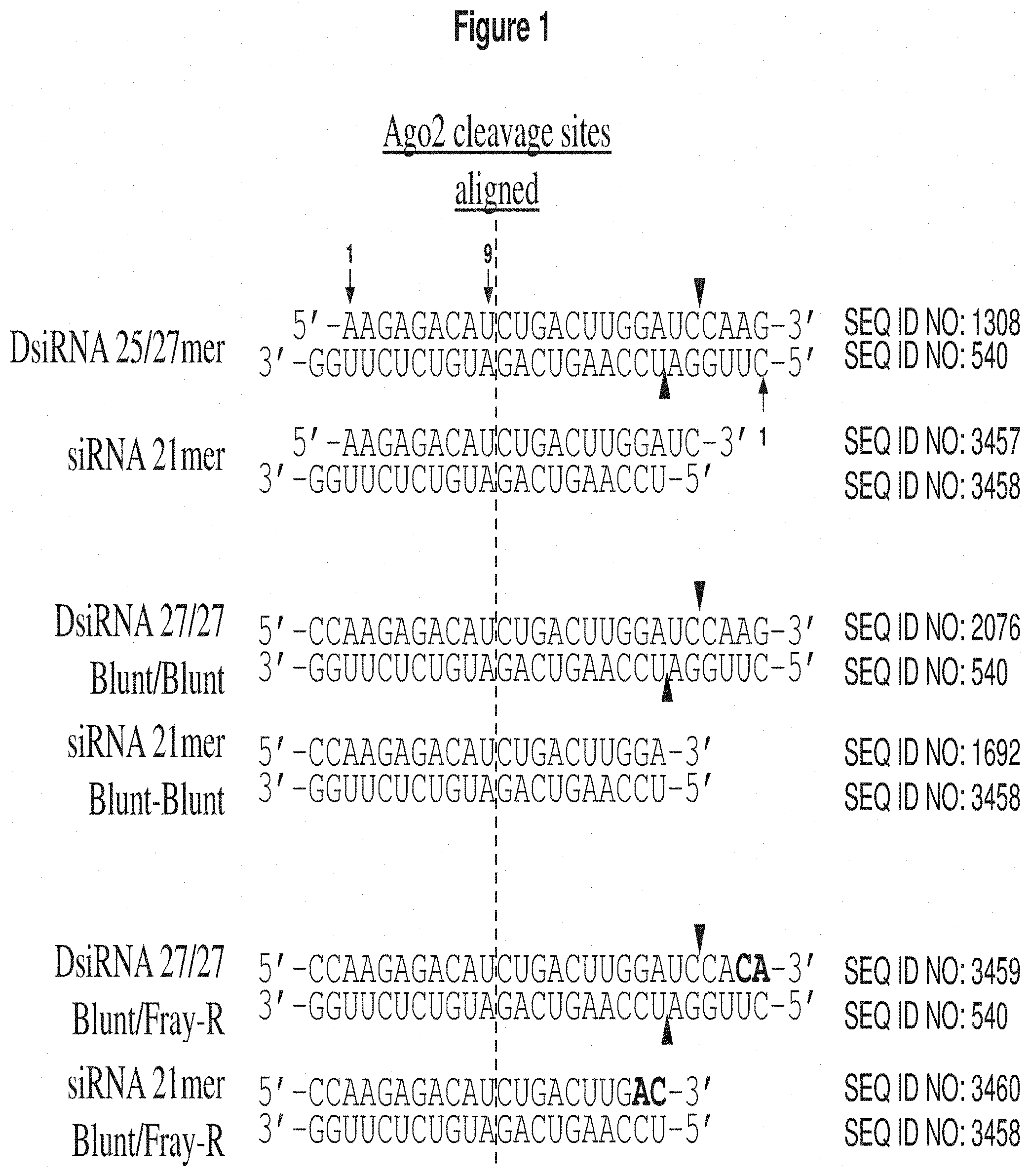 Patent US11773390 — Methods and compositions for the specific inhibition of Complement Component 5(C5) by double-stranded RNA — Figure 1