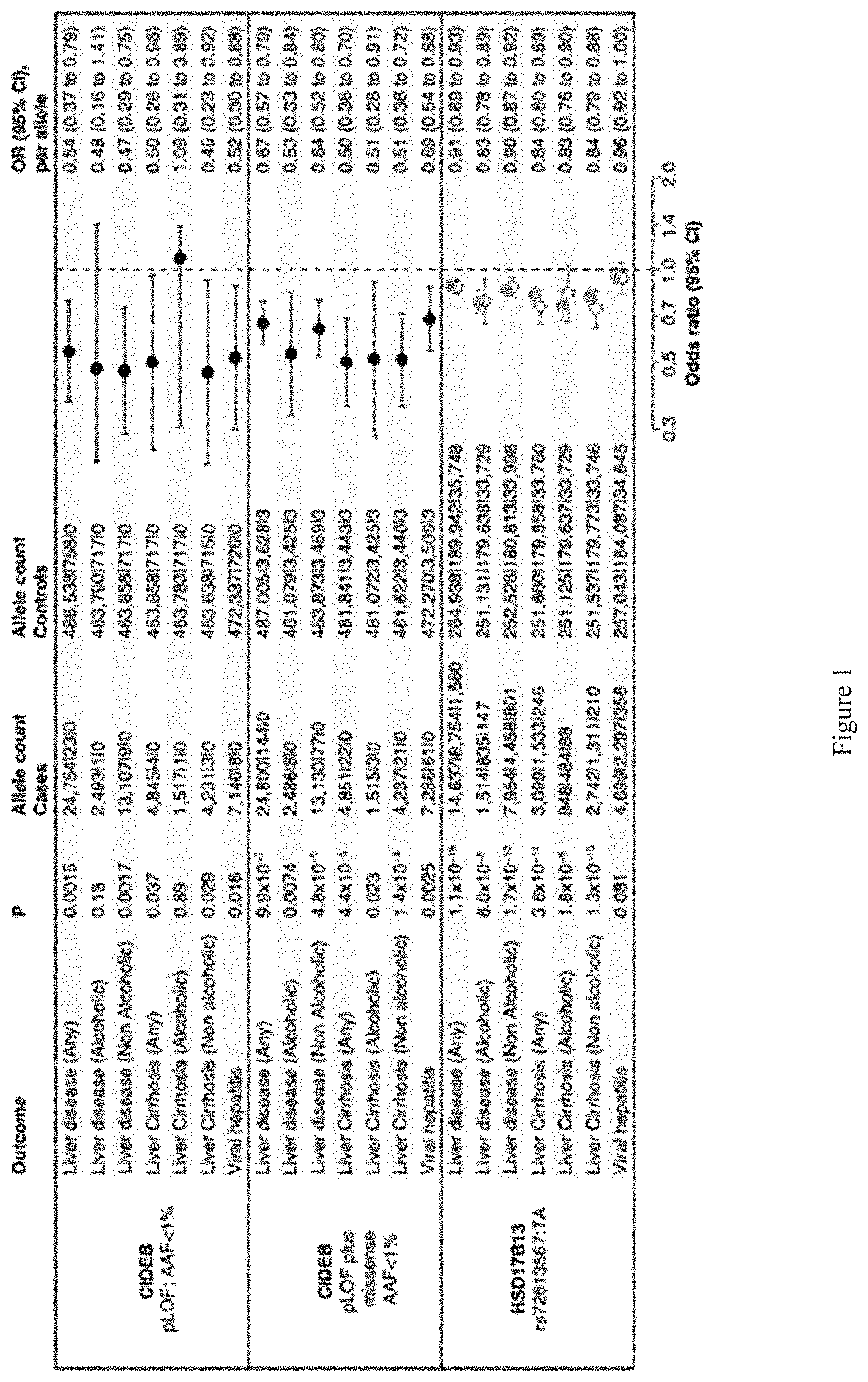 Patent US11773393 — Treatment of liver diseases with cell death inducing DFFA like effector B (CIDEB) inhibitors — Figure 1