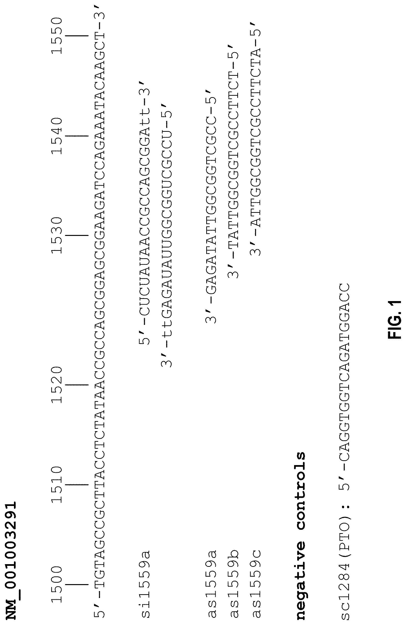Patent US11773394 — Antisense drugs against canine ICAM-1 for use in the treatment of inflammation of the buccal cavity — Figure 1