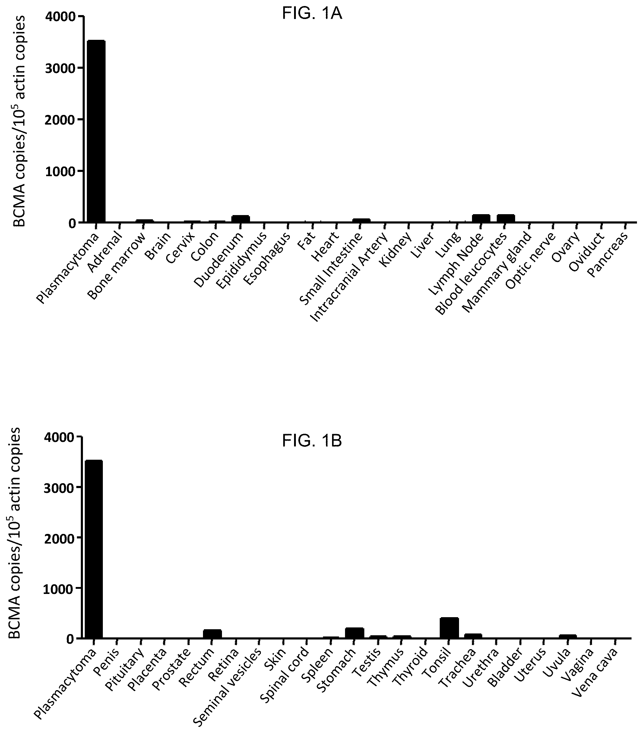 Patent US11773396 — Chimeric antigen receptors targeting B-cell maturation antigen — Figure 1