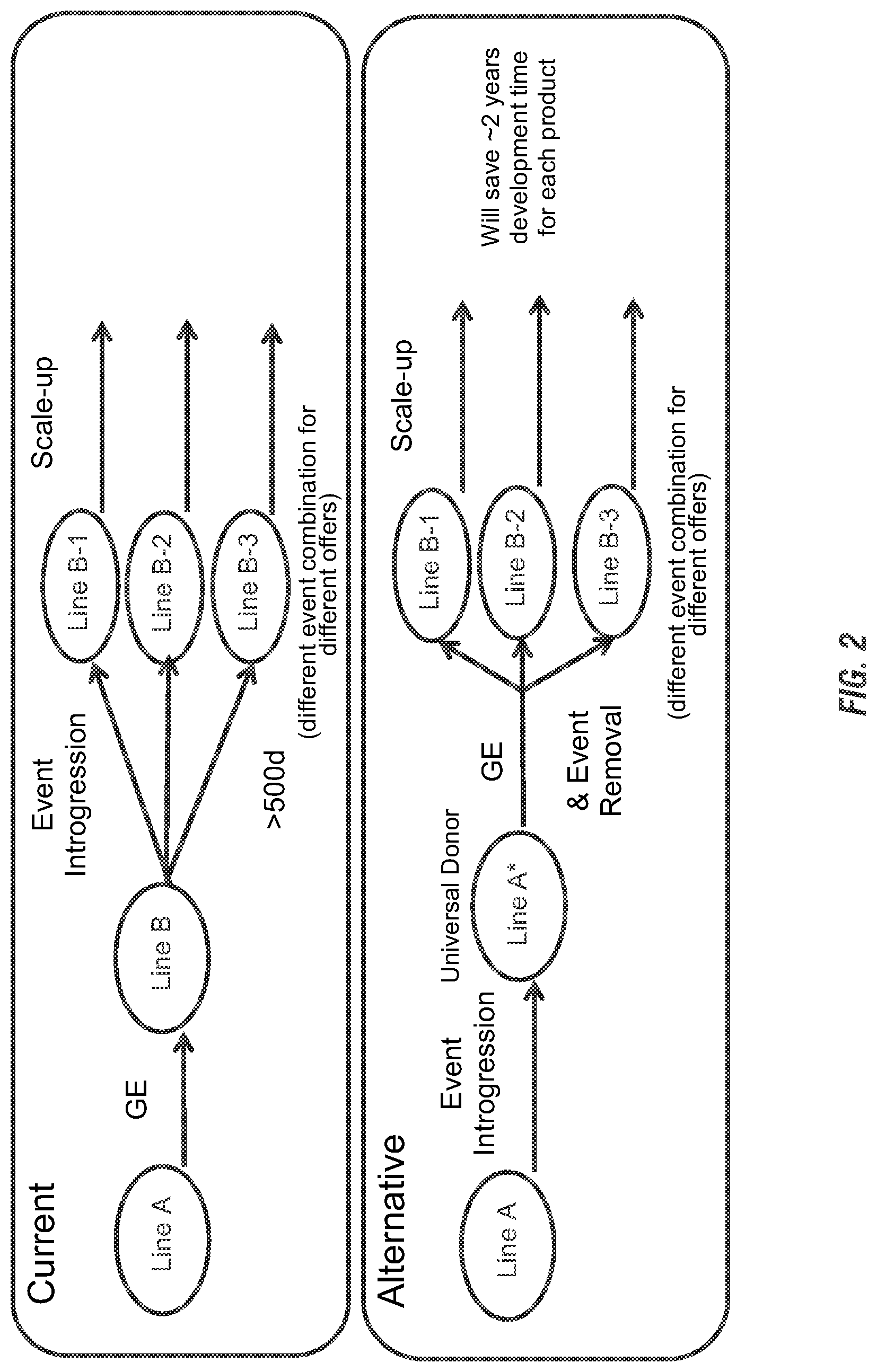 Patent US11773398 Figure 2 – Modified excisable 5307 maize transgenic locus lacking a selectable marker