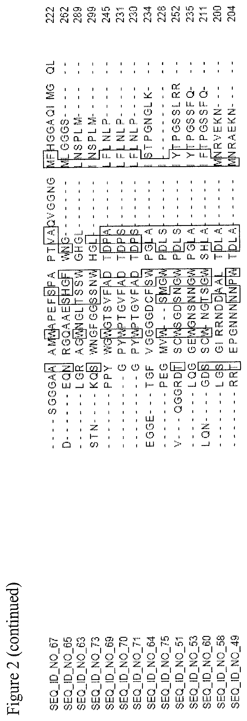 Patent US11773404 Figure 11 – Nucleotide sequences and corresponding polypeptides conferring improved nitrogen use efficiency characteristics in plants
