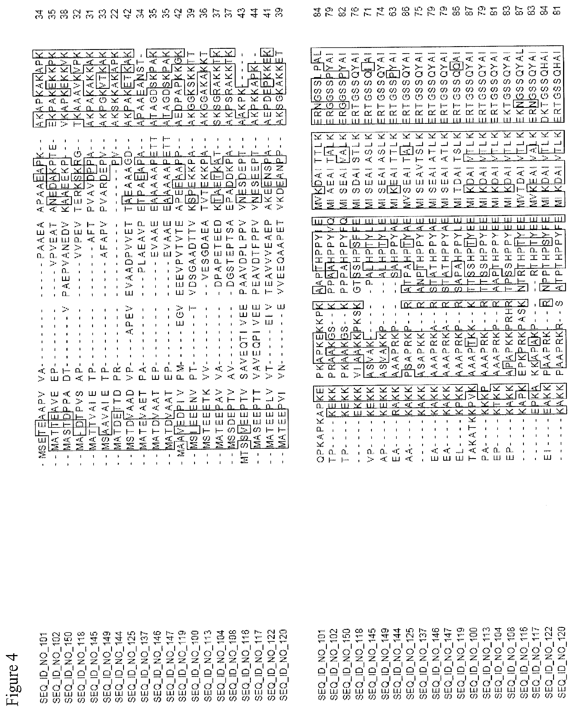 Patent US11773405 Figure 16 – Nucleotide sequences and corresponding polypeptides conferring improved nitrogen use efficiency characteristics in plants