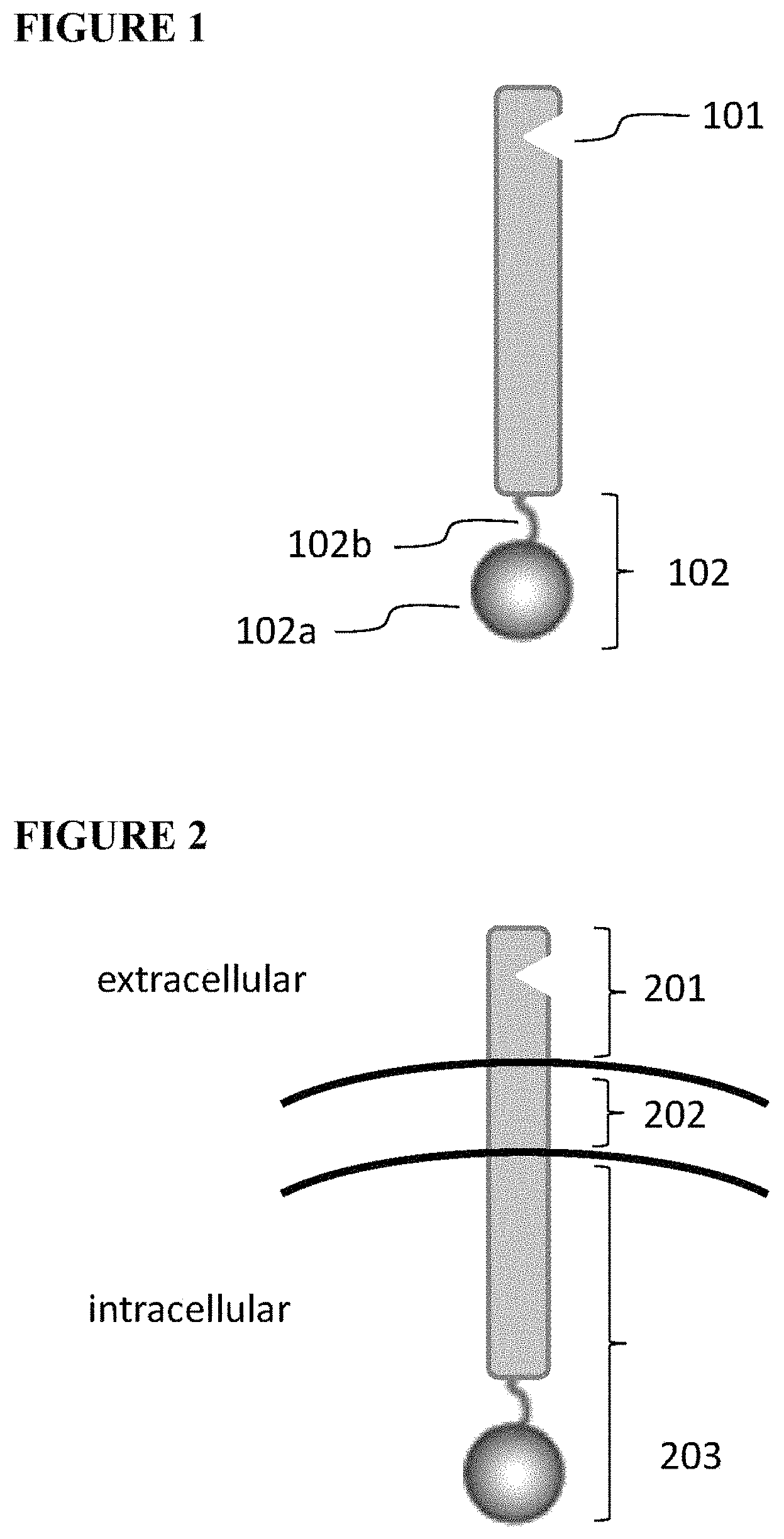 Patent US11773411 — Chimeric proteins and methods of regulating gene expression — Figure 1
