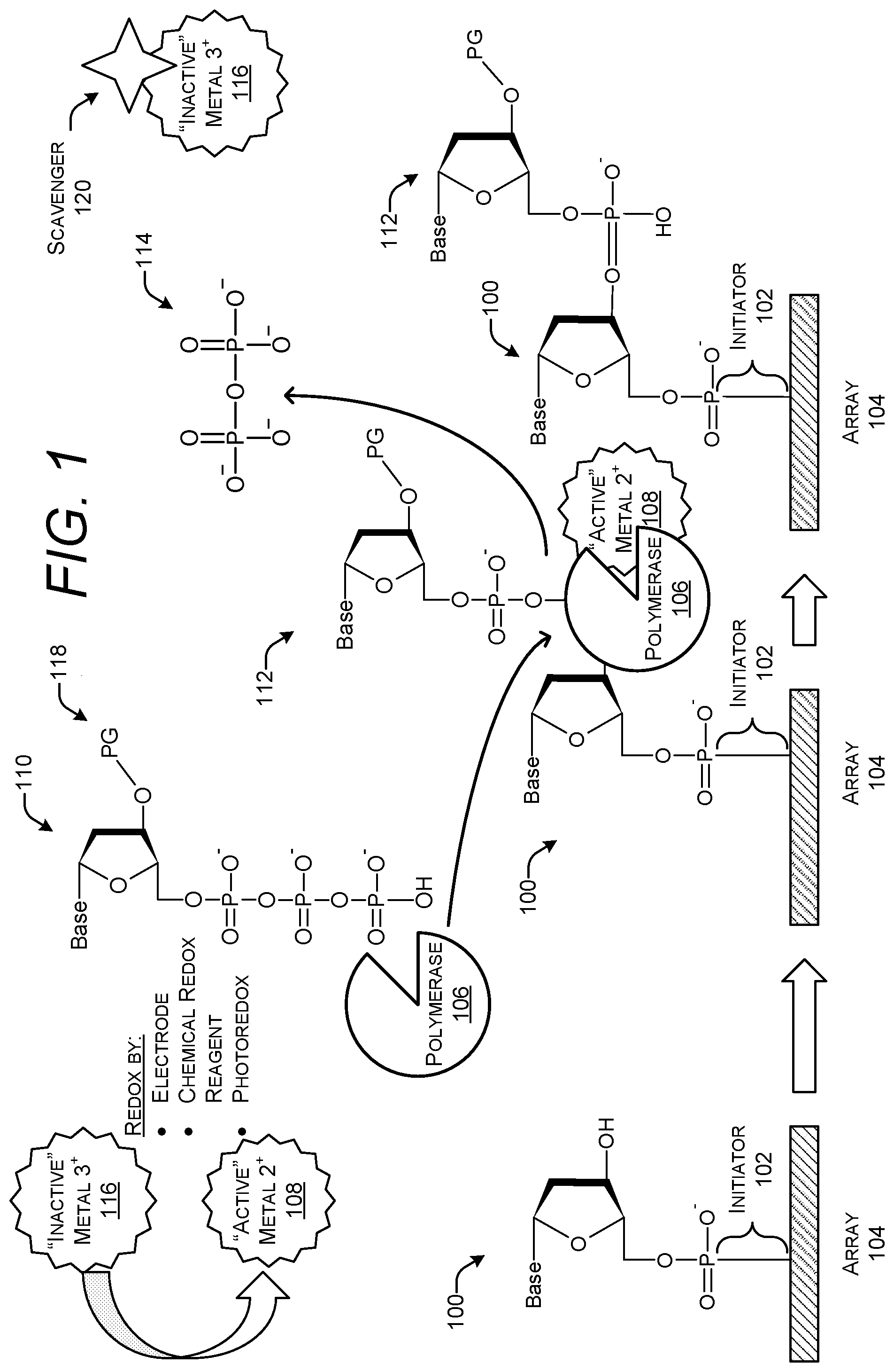 Patent US11773422 — Regulation of polymerase using cofactor oxidation states — Figure 1