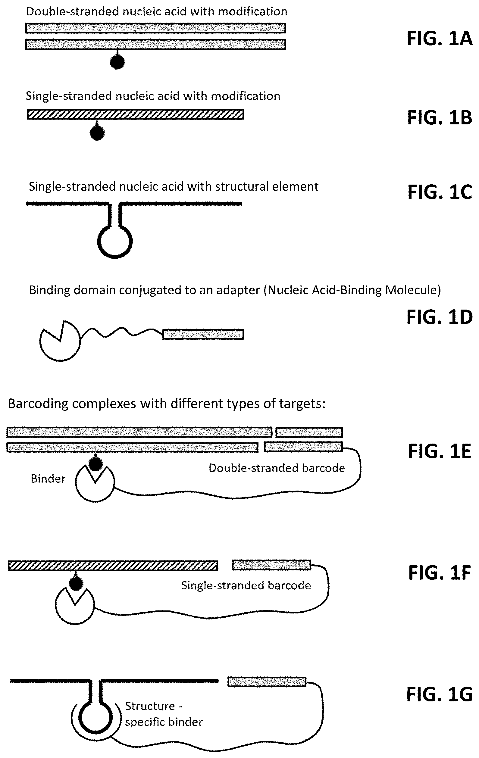 Patent US11773425 — Multiplexed profiling of RNA and DNA modifications — Figure 1