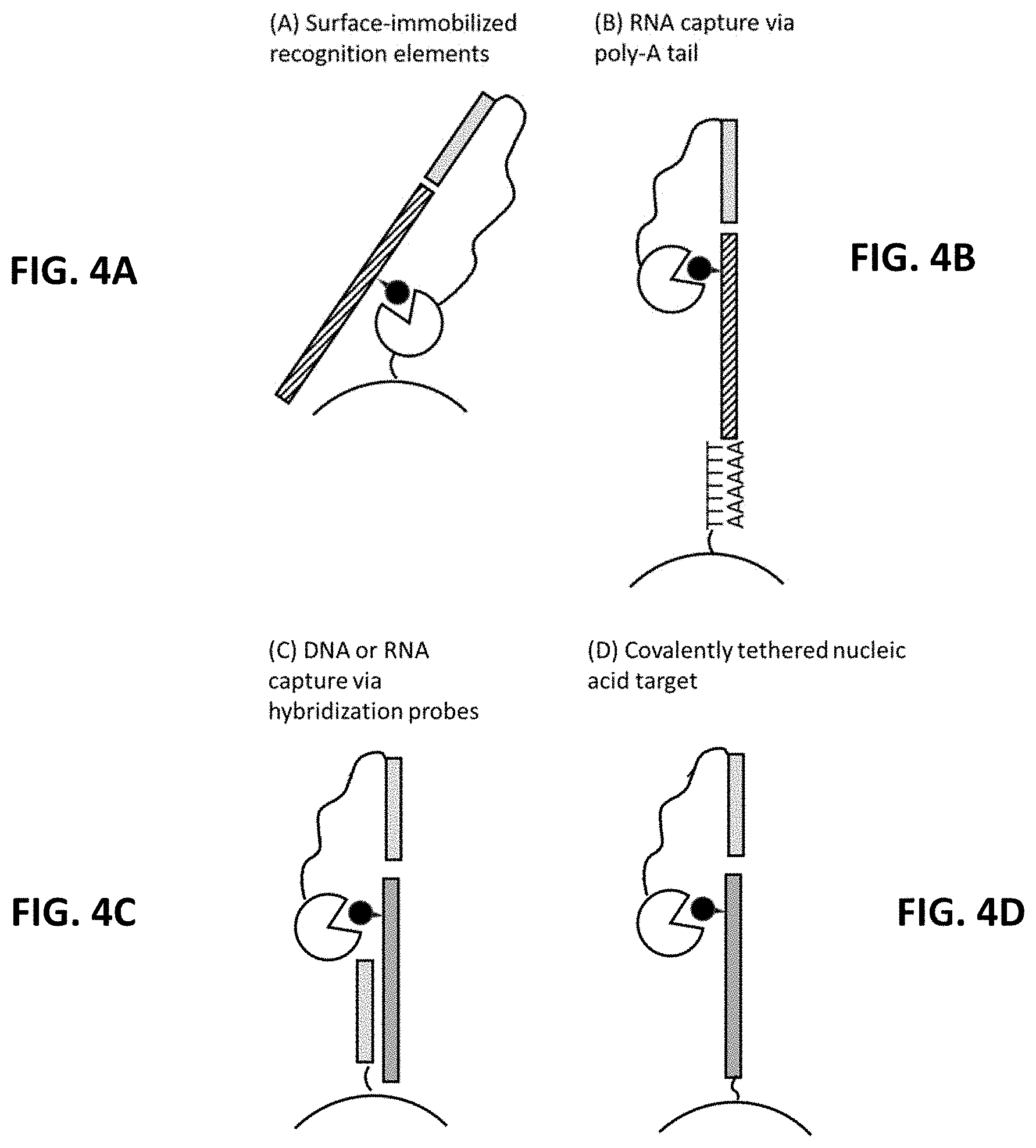 Patent US11773425 Figure 4 – Multiplexed profiling of RNA and DNA modifications
