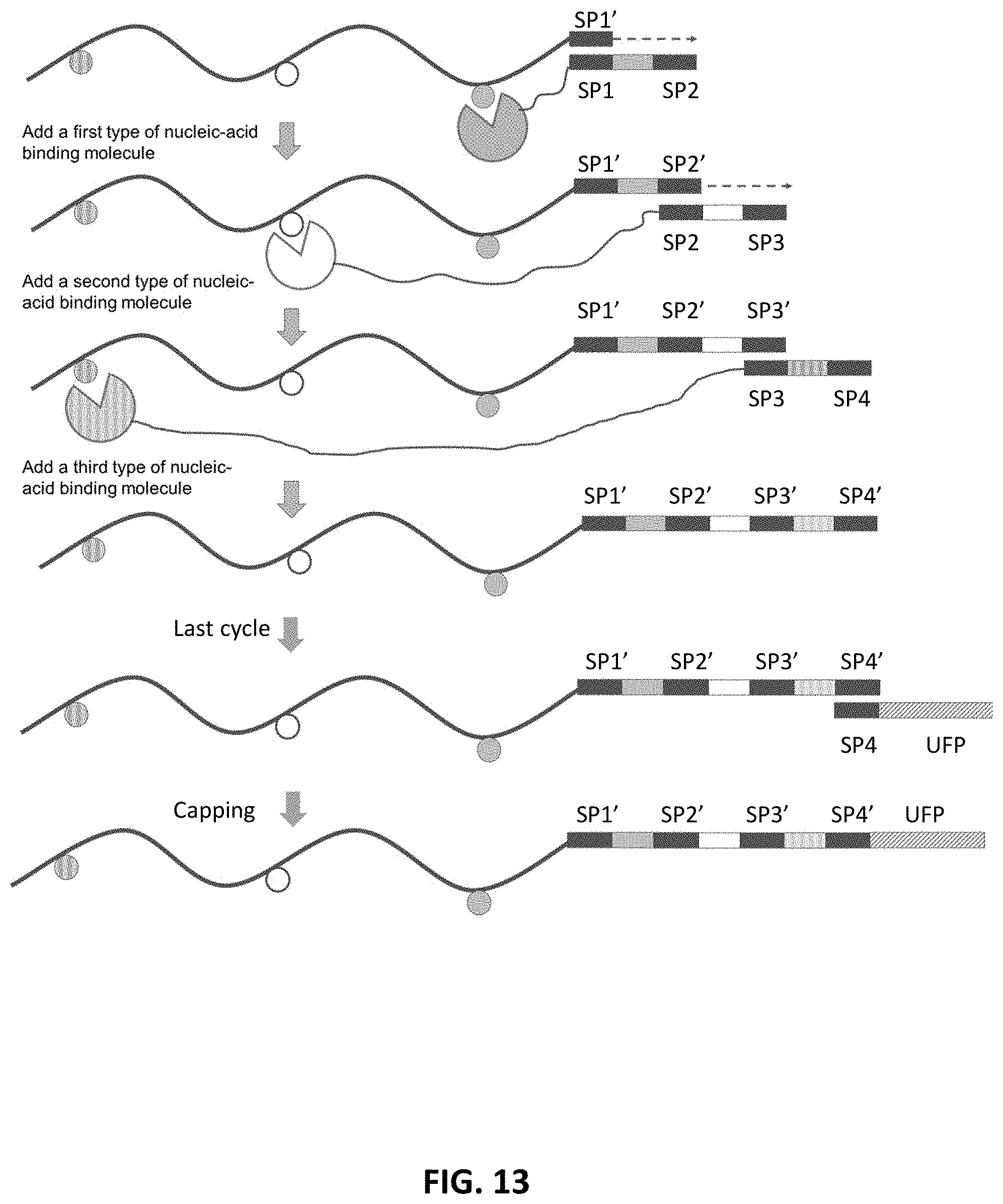 Patent US11773425 Figure 13 – Multiplexed profiling of RNA and DNA modifications
