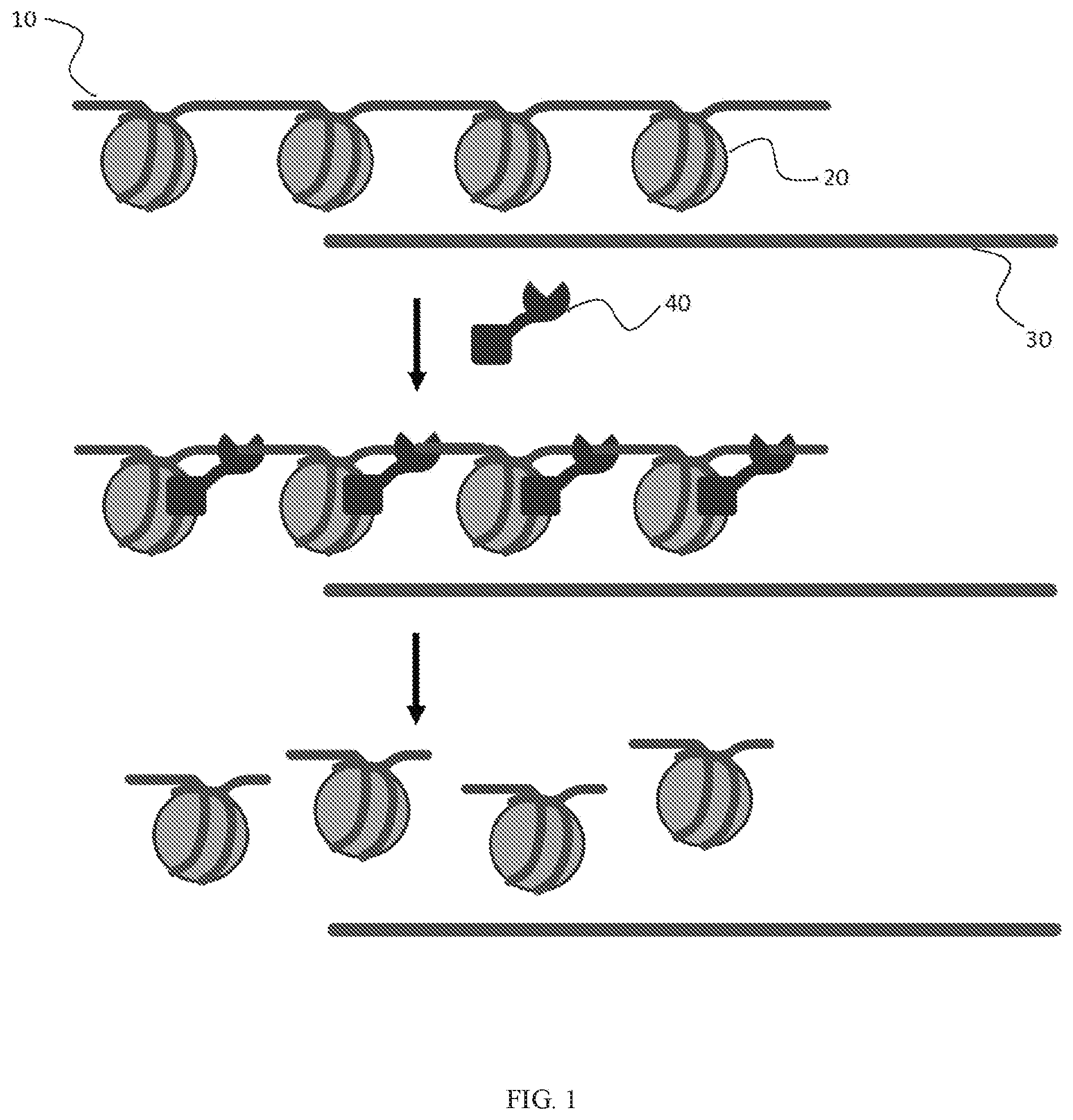 Patent US11773427 — Methods and compositions for selective cleavage of nucleic acids with recombinant nucleases — Figure 1