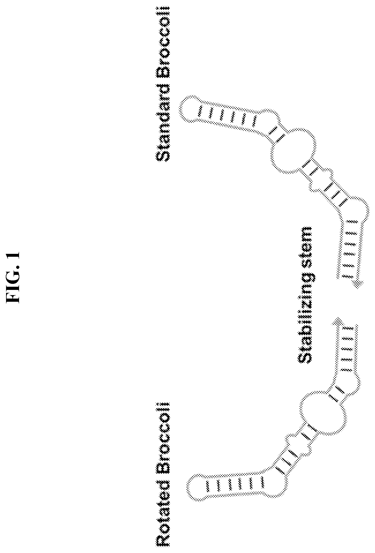 Patent US11773430 — Unimolecular aptamer-based sensors for pathogen detection — Figure 1