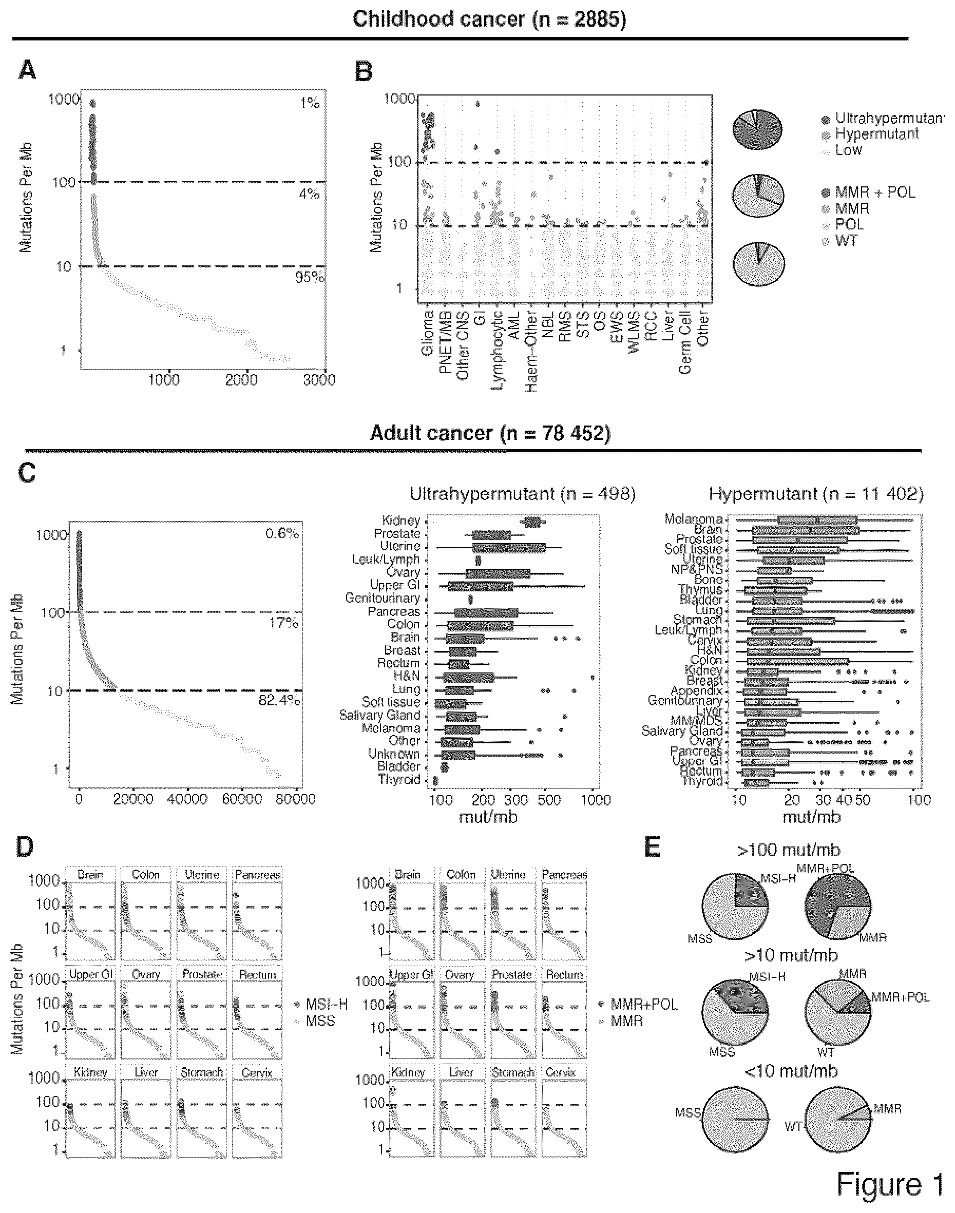 Patent US11773449 — Profiling and treatment of hypermutant cancer — Figure 1