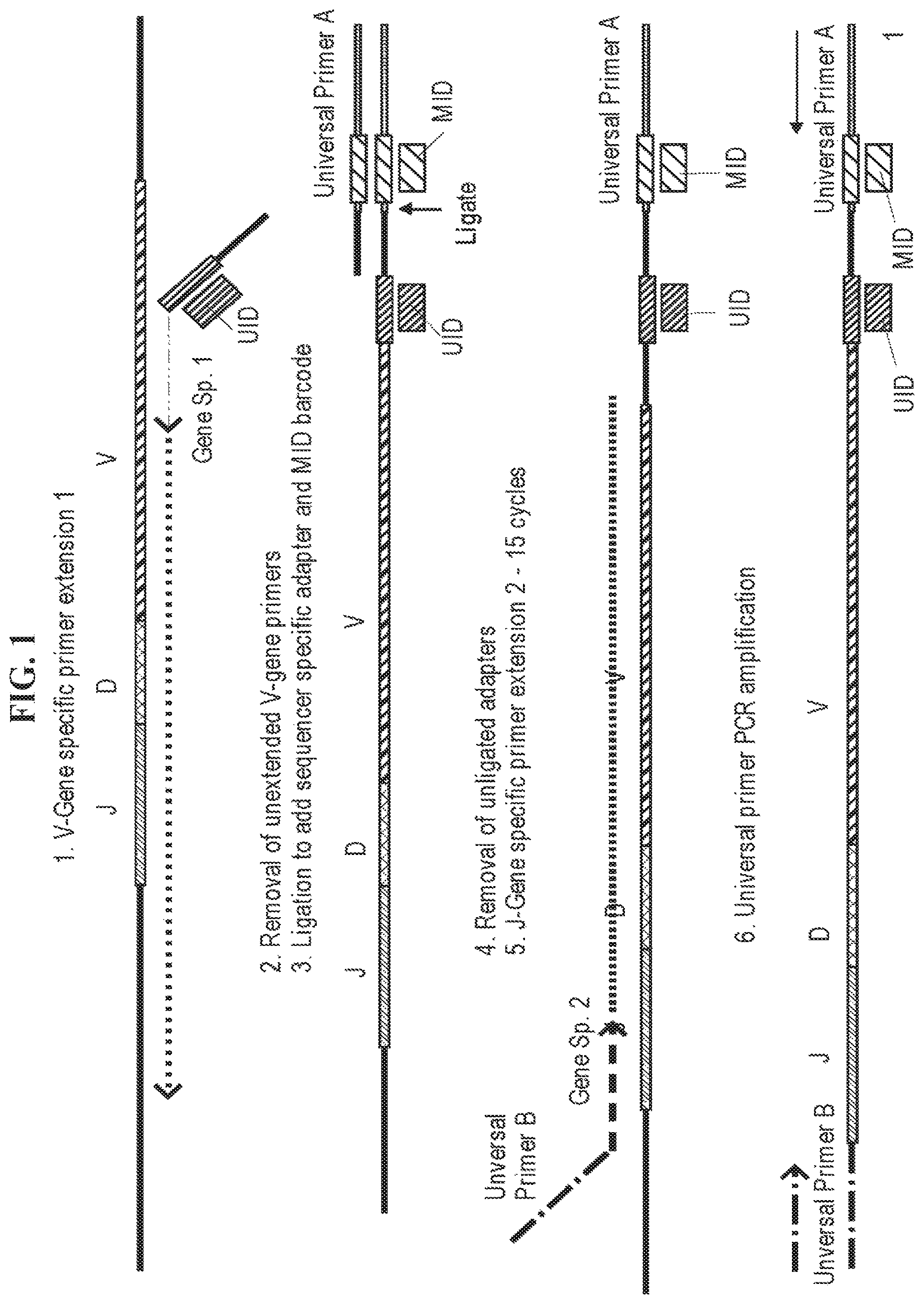 Patent US11773511 — Immune profiling by primer extension target enrichment — Figure 1