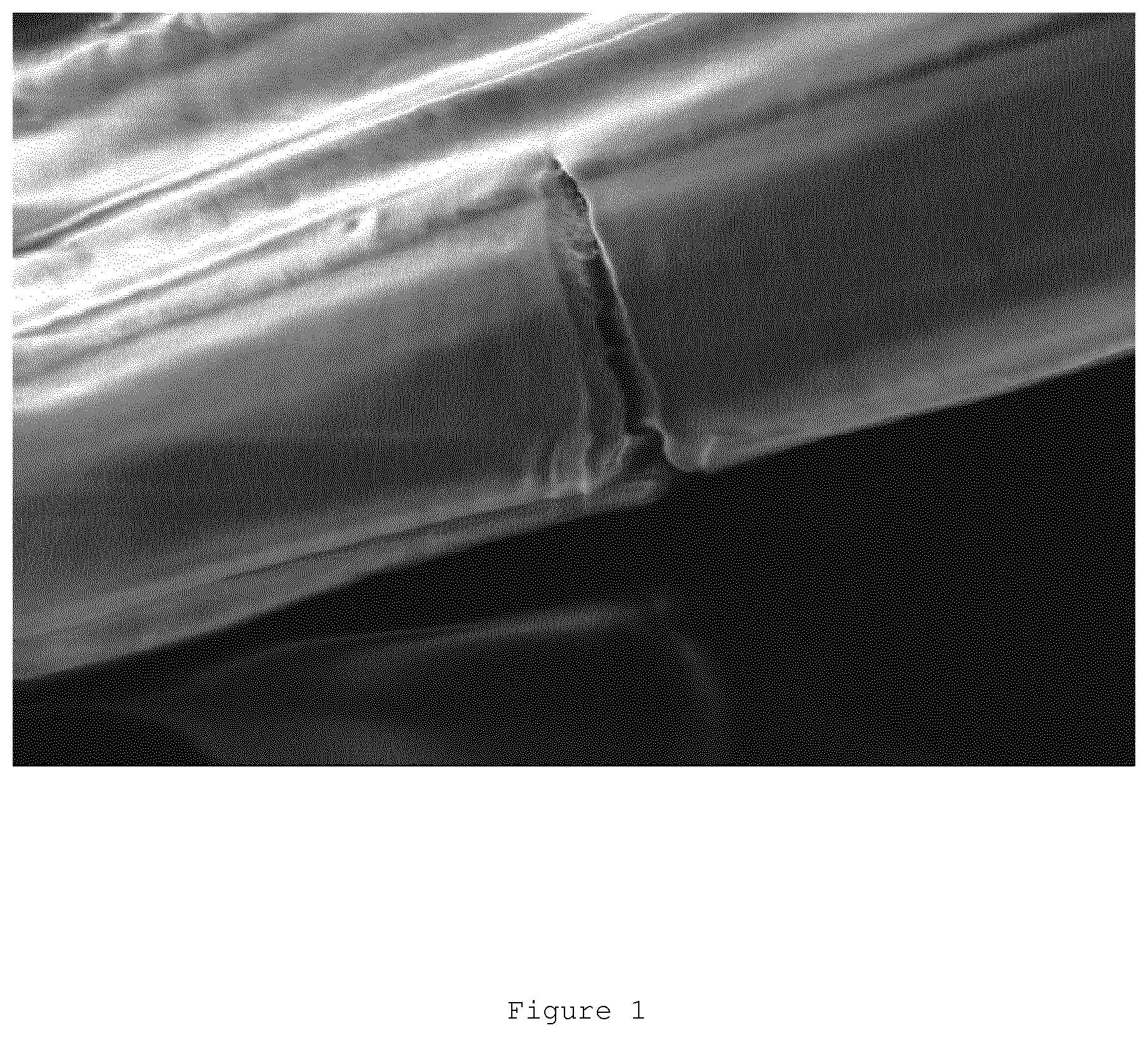 Patent US11773533 — Composition for use in the finishing, preservation, restoration of manufactures — Figure 1