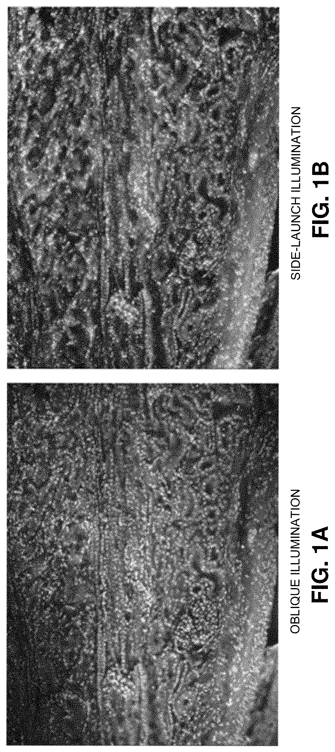 Patent US11774361 — Waveguide-based side-illumination technique for muse microscopy and associated histology cassettes — Figure 1