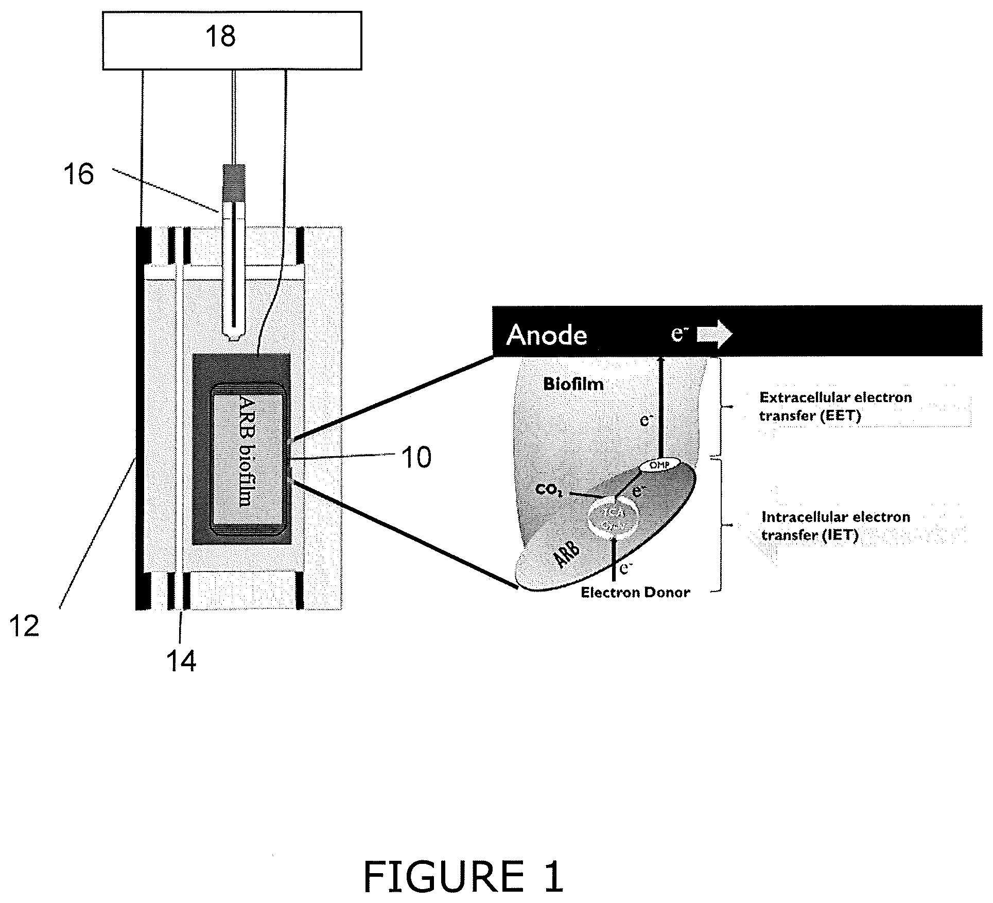 Patent US11774432 — Biocapacitive BOD sensor — Figure 1