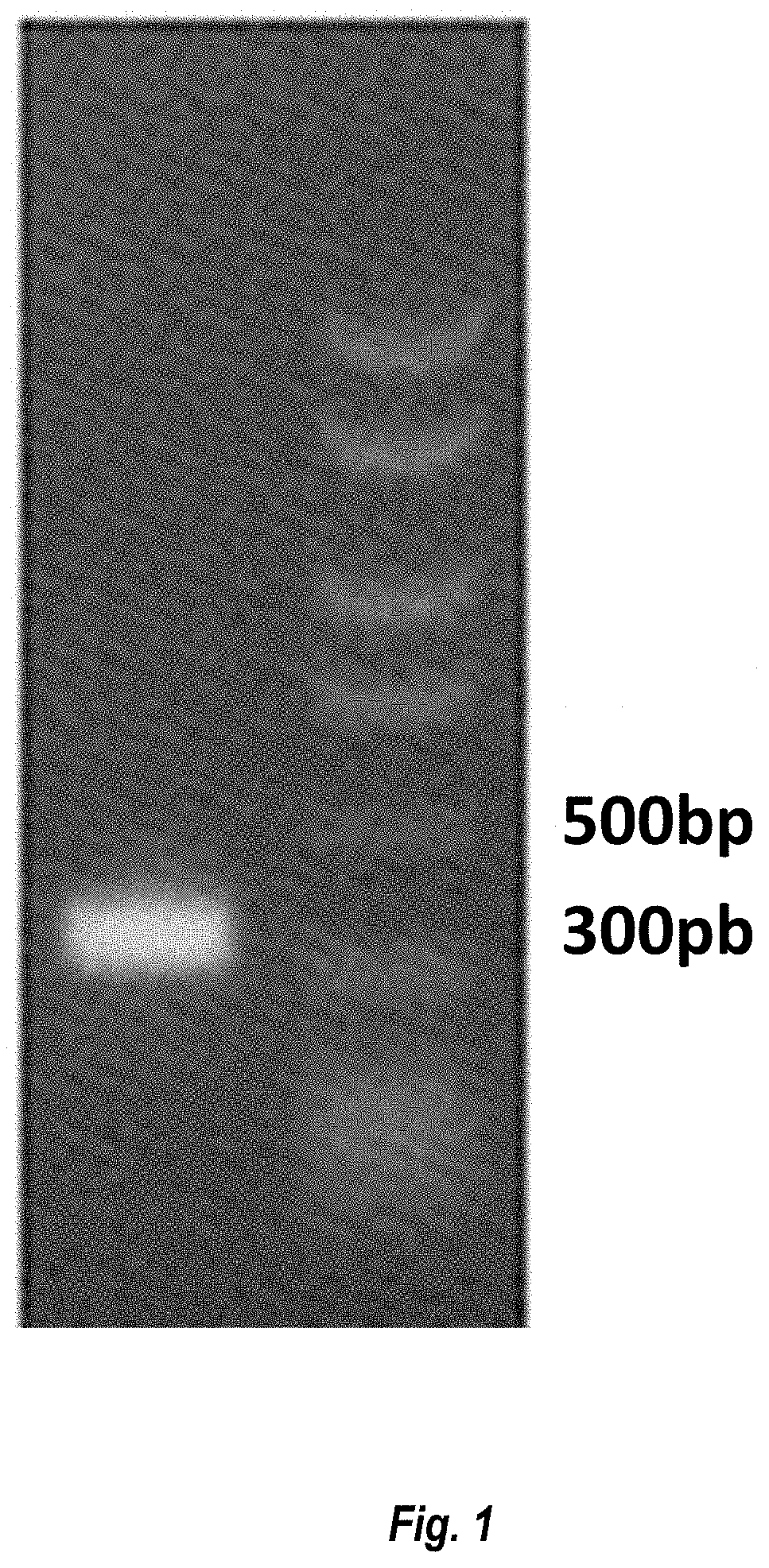 Patent US11774452 — Antibodies against carcinoembryonic antigens — Figure 1