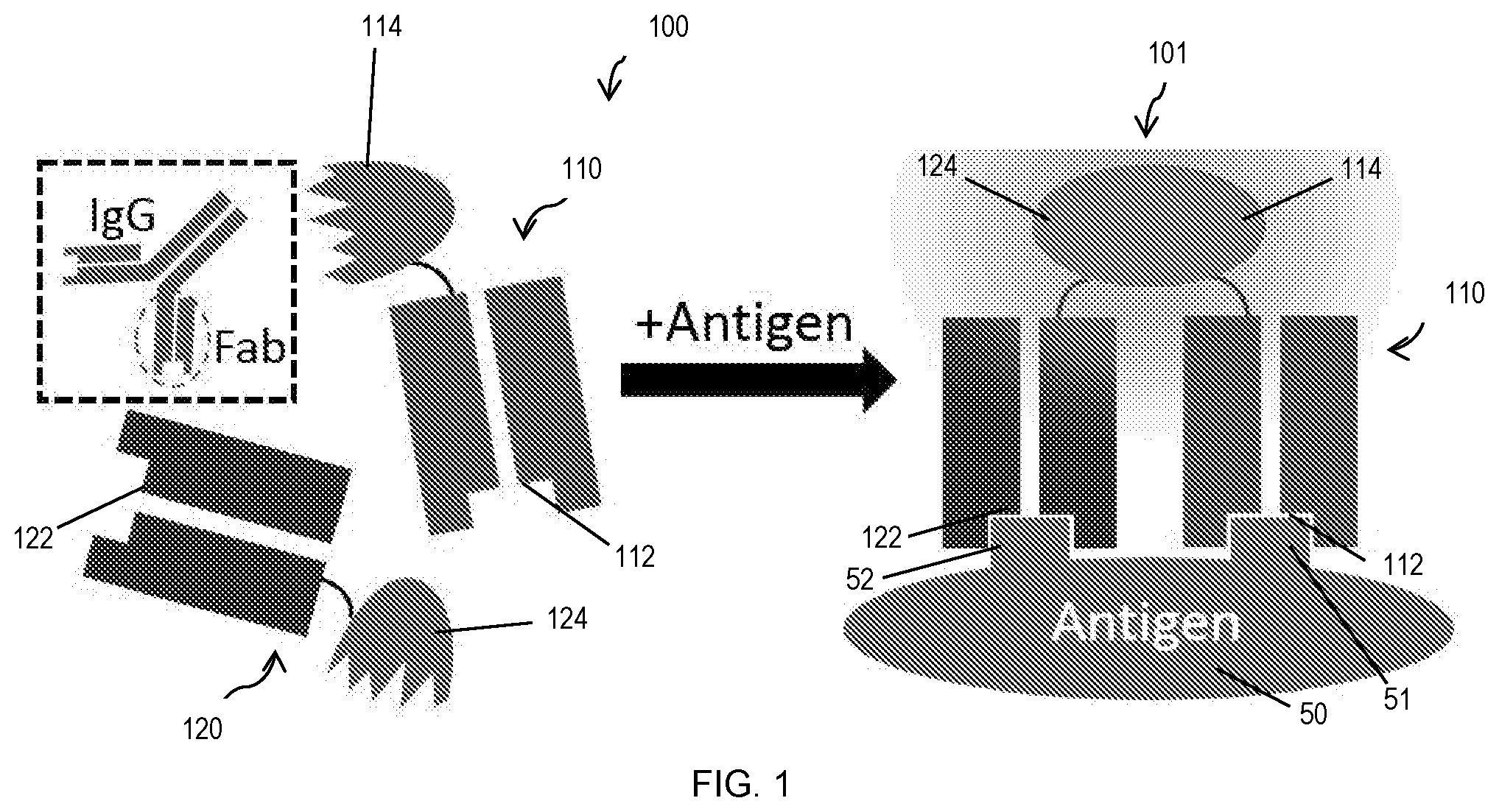Patent US11774453 — Target-binding activated split reporter systems for analyte detection and related components and methods — Figure 1