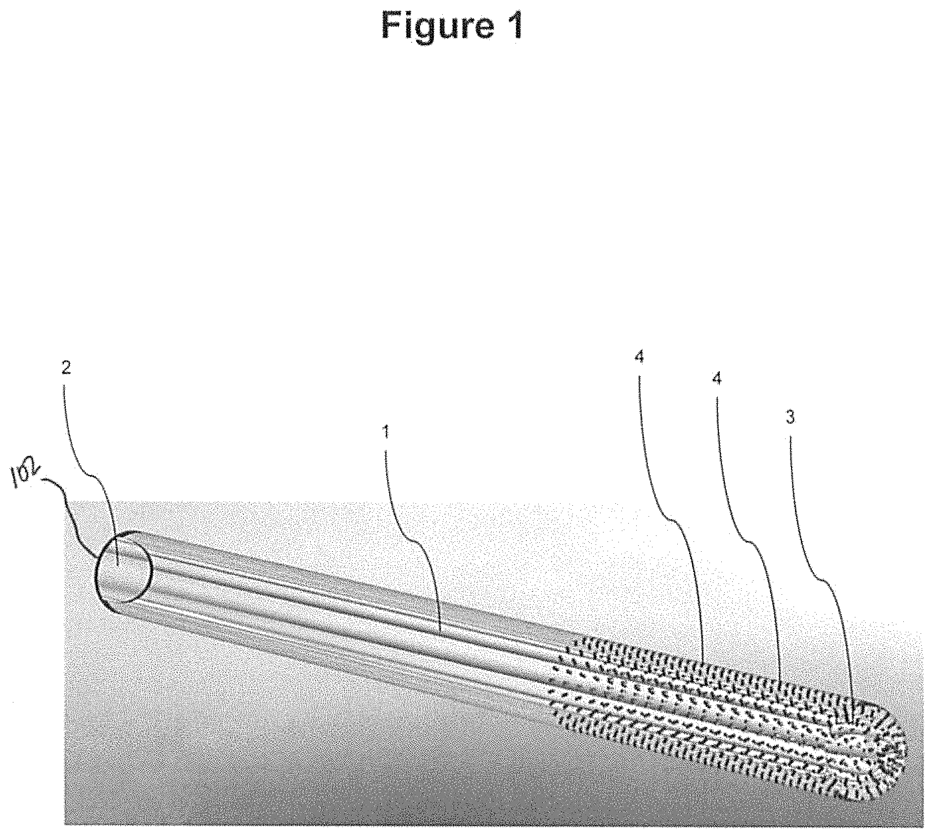 Patent US11778696 — Vaporiser assembly for an aerosol-generating system — Figure 1