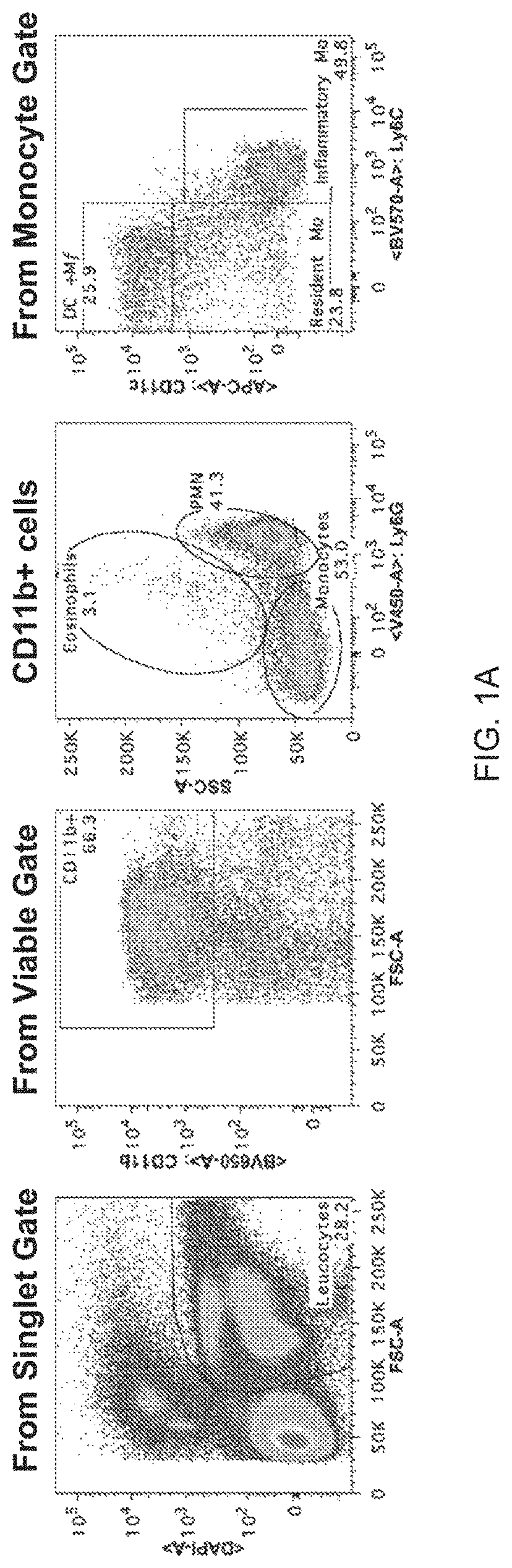 Patent US11778994 — NSG mice lacking MHC class I and class II — Figure 1