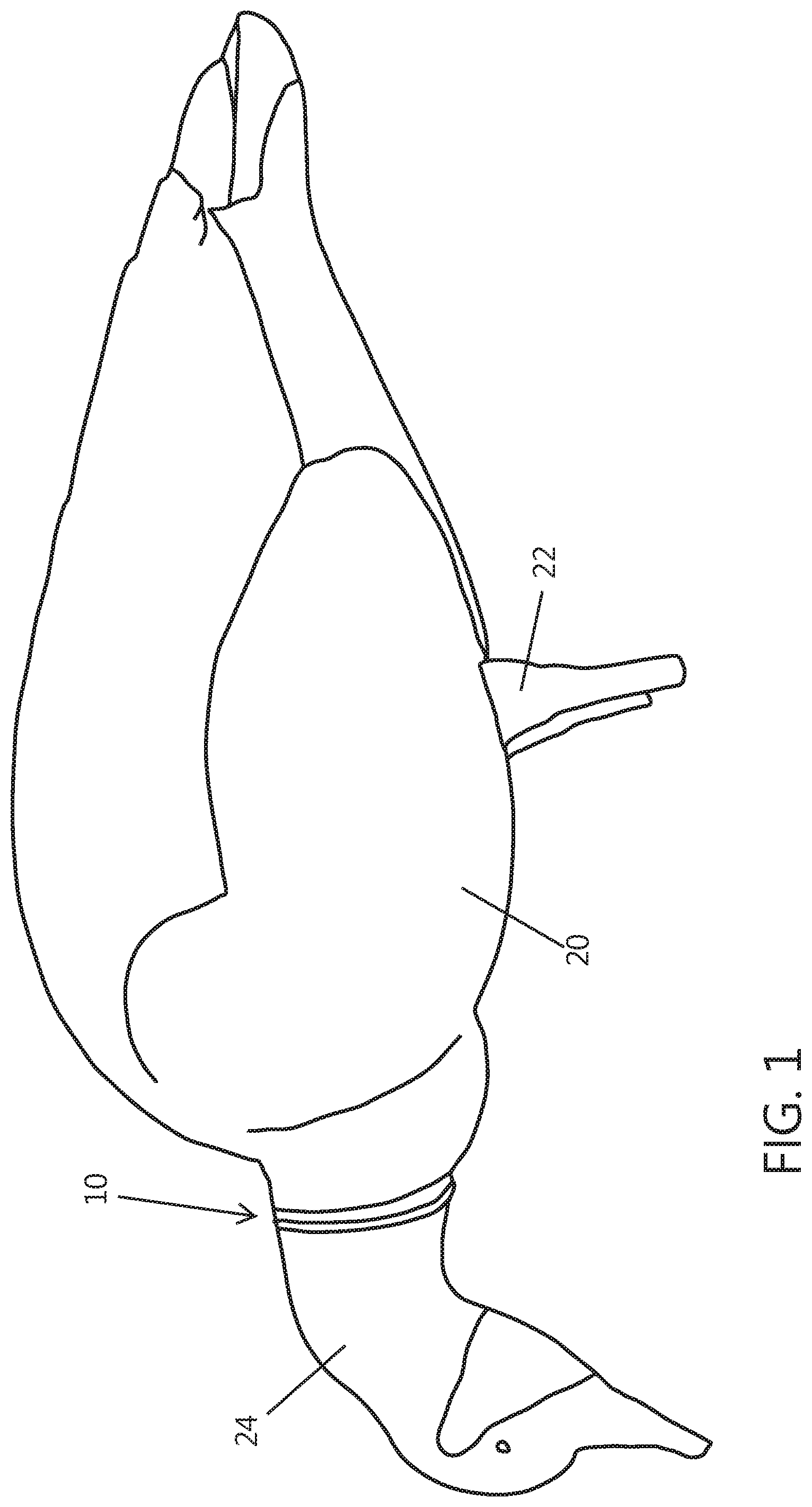 Patent US11779010 — Multi dimensional decoy body and head connector — Figure 1