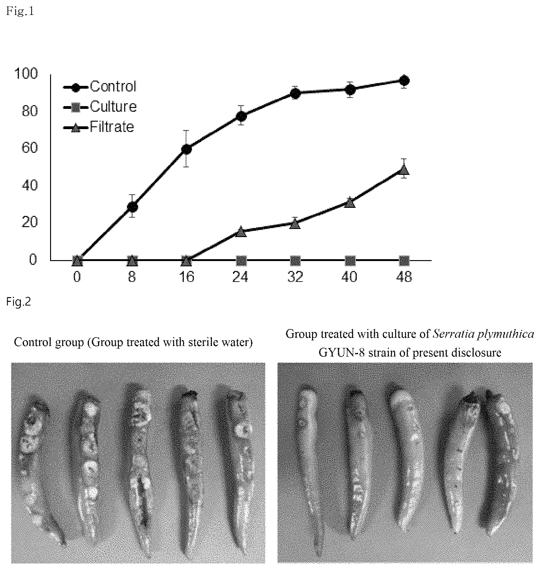 Patent US11779021 — Strain Serratia plymuthica gyun-8 and use thereof — Figure 1