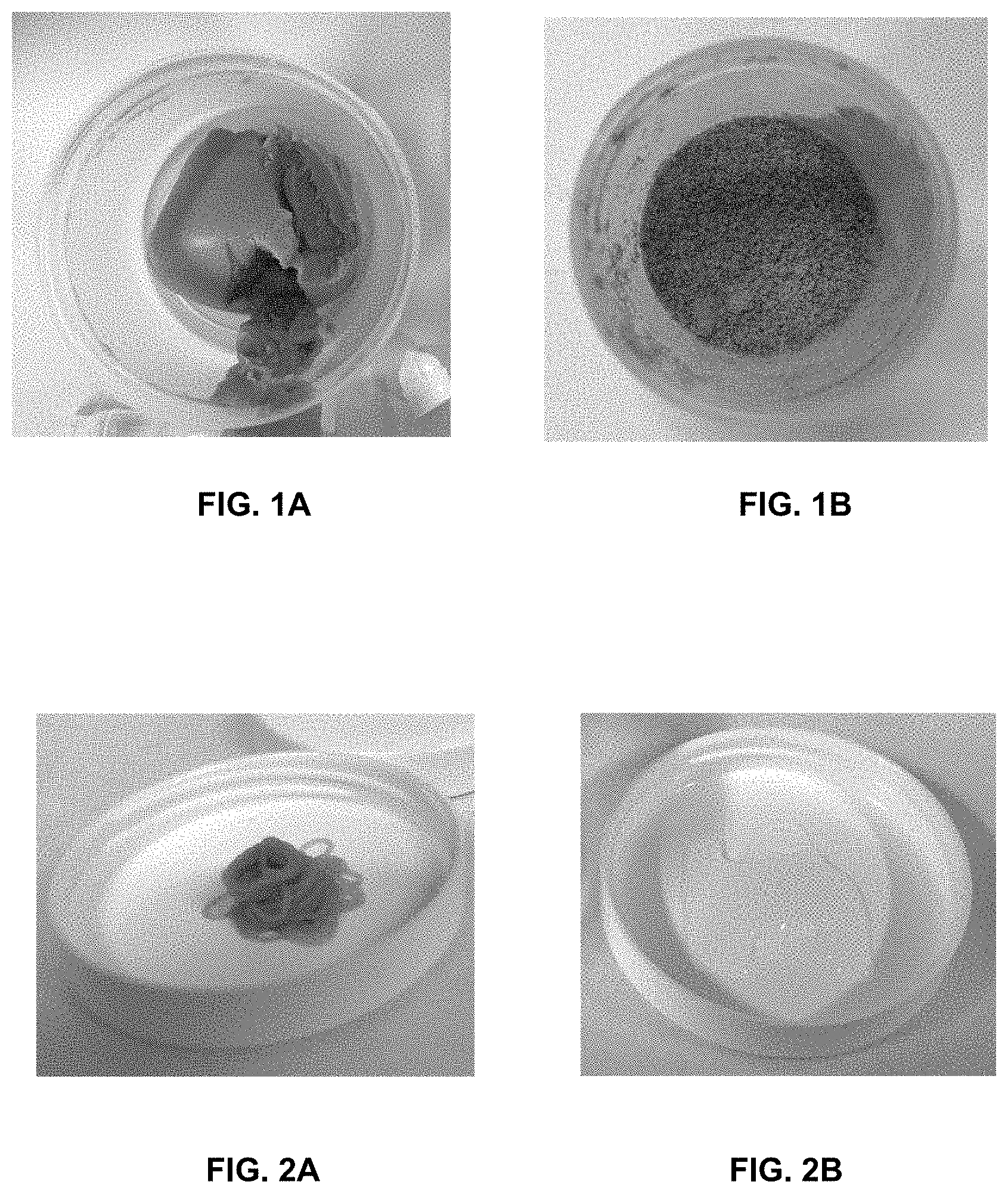 Patent US11779033 — Process of manufacturing edible microextruded product comprising protein,composition thereby obtained and the use thereof — Figure 1