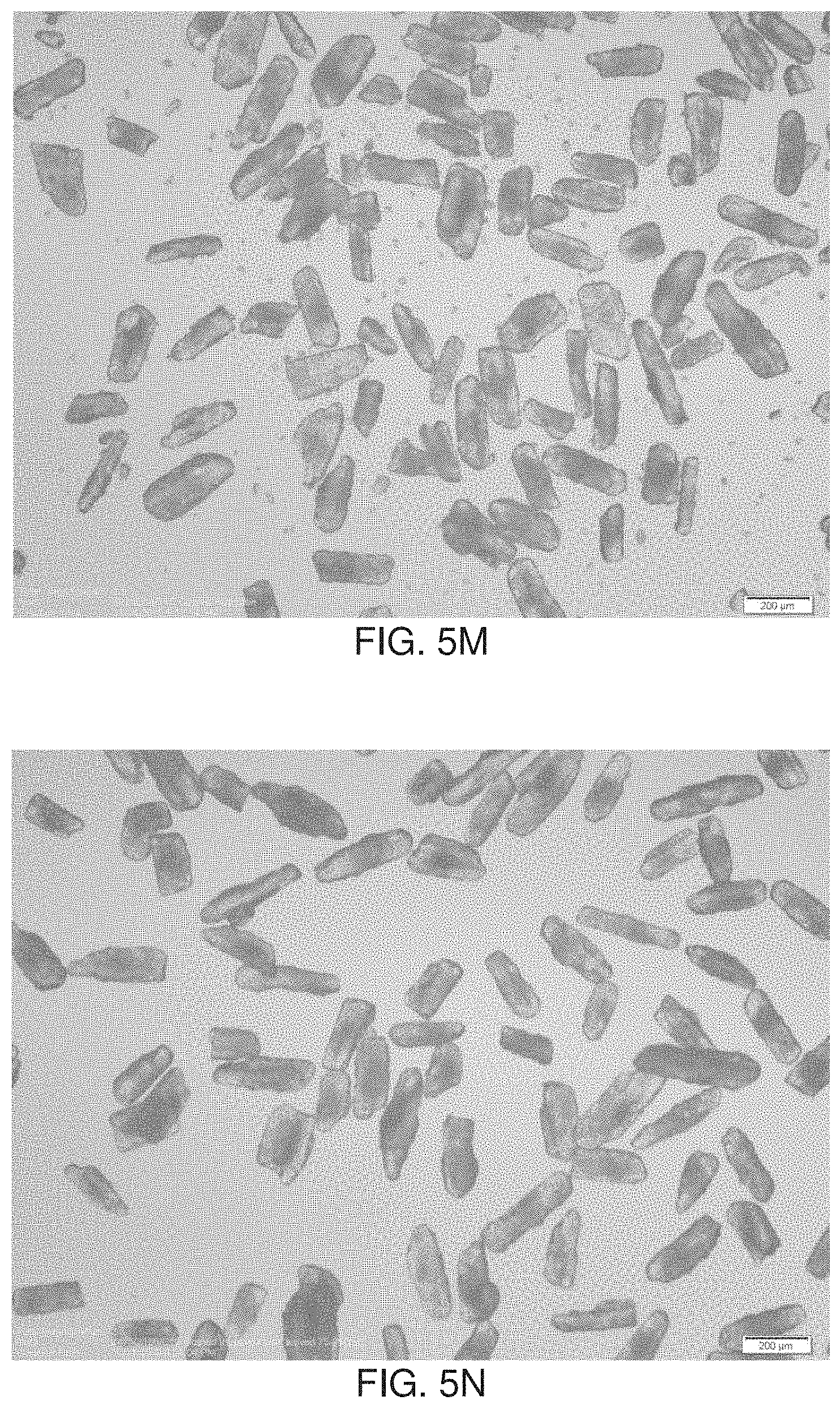 Patent US11779540 Figure 10 – Minimizing agglomeration of drug particle coating material during storage to stabilize disintegration times of pharmaceutical products