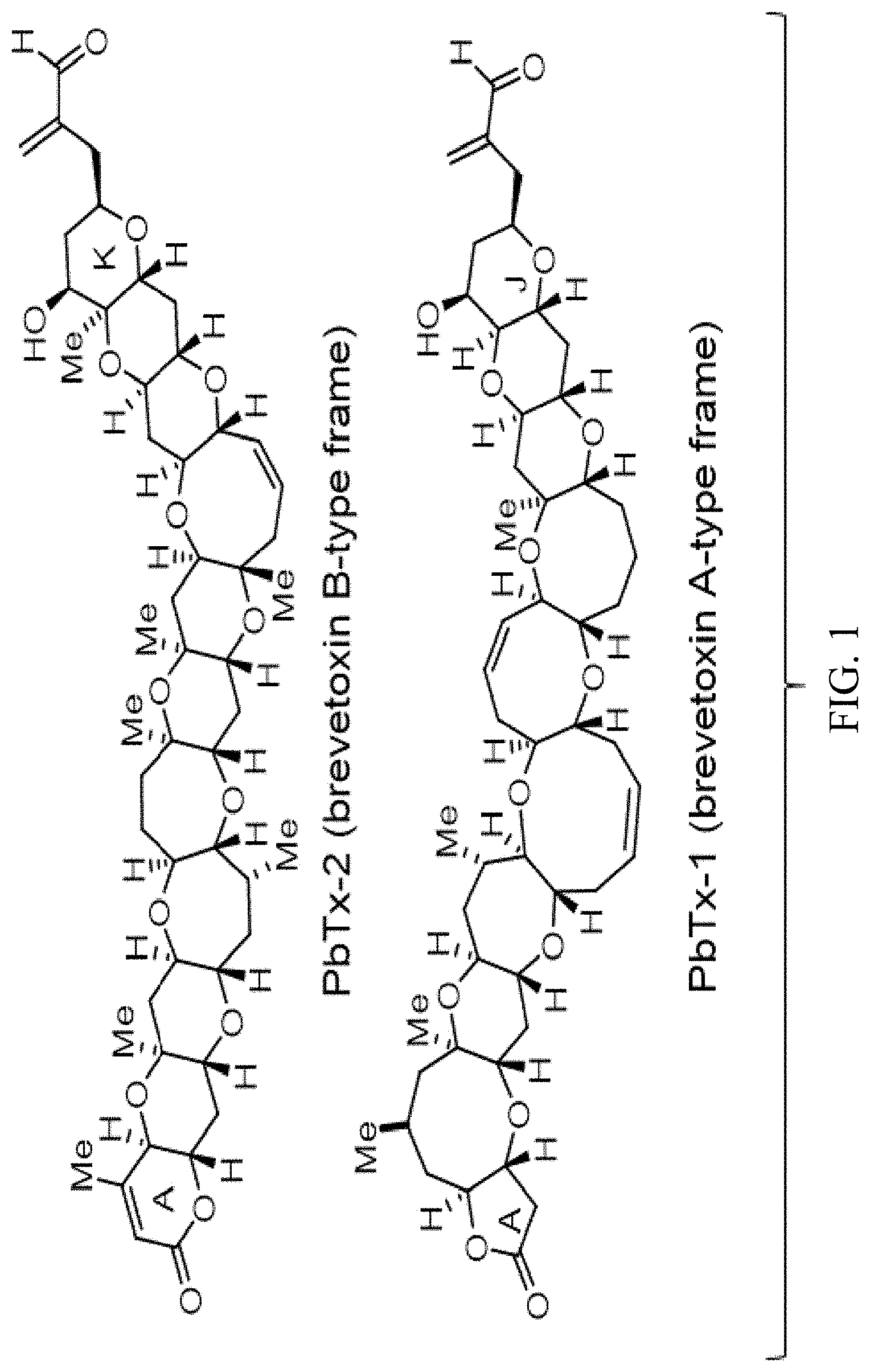 Patent US11779551 — Antitoxins to brevetoxin — Figure 1