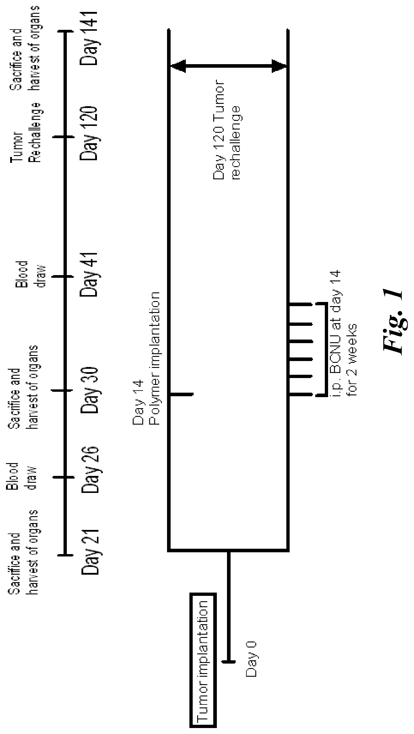 Patent US11779555 — Combination of immunotherapy with local chemotherapy for the treatment of malignancies — Figure 1