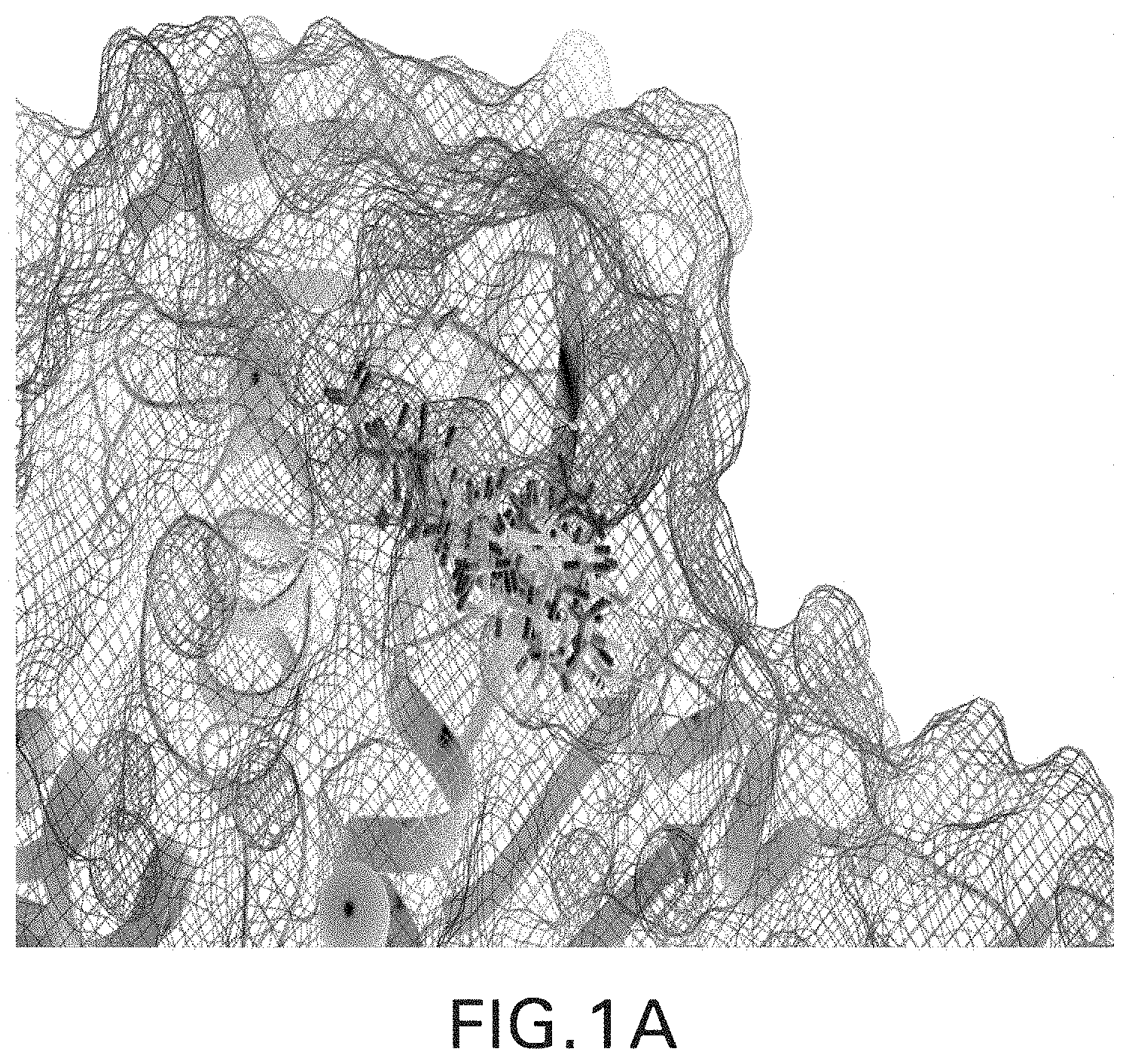 Patent US11779560 — Methods of using nitric oxide donor compounds for treatment of COVID-19 and other infectious diseases — Figure 1