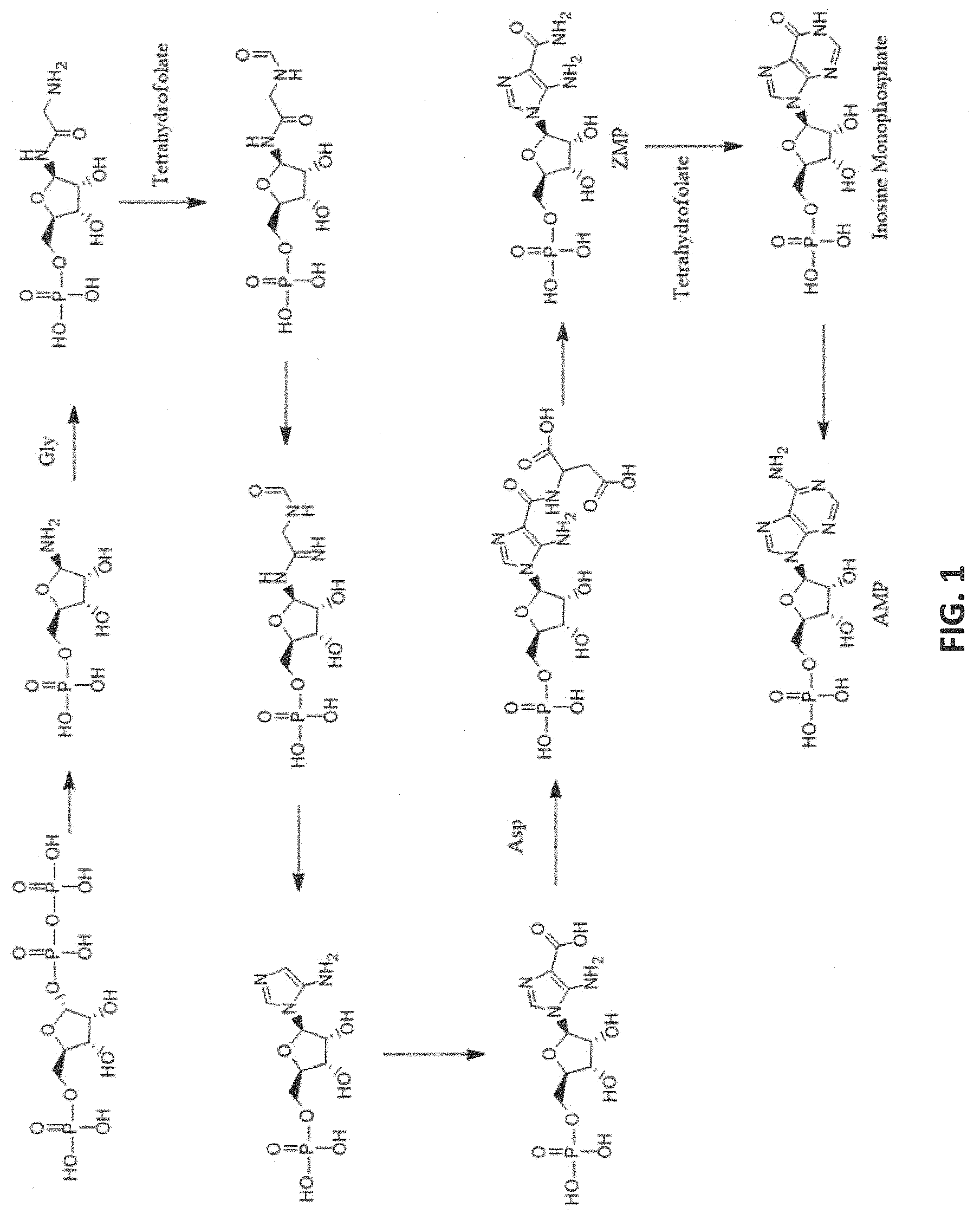 Patent US11779590 Figure 1 – AMP-activated protein kinase activating compounds and uses thereof