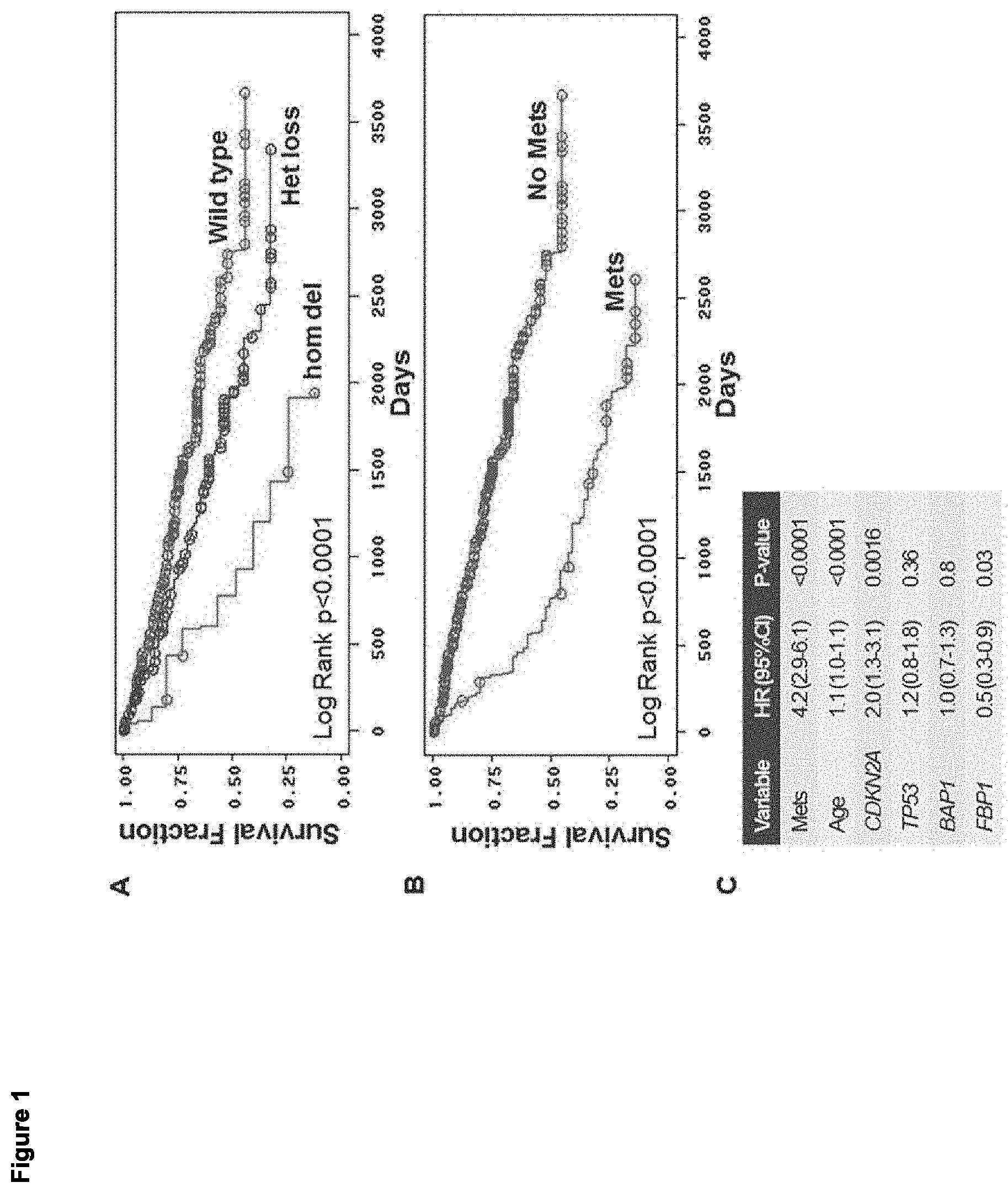 Patent US11779591 Figure 1 – Compositions containing decitabine, 5azacytidine and tetrahydrouridine and uses thereof