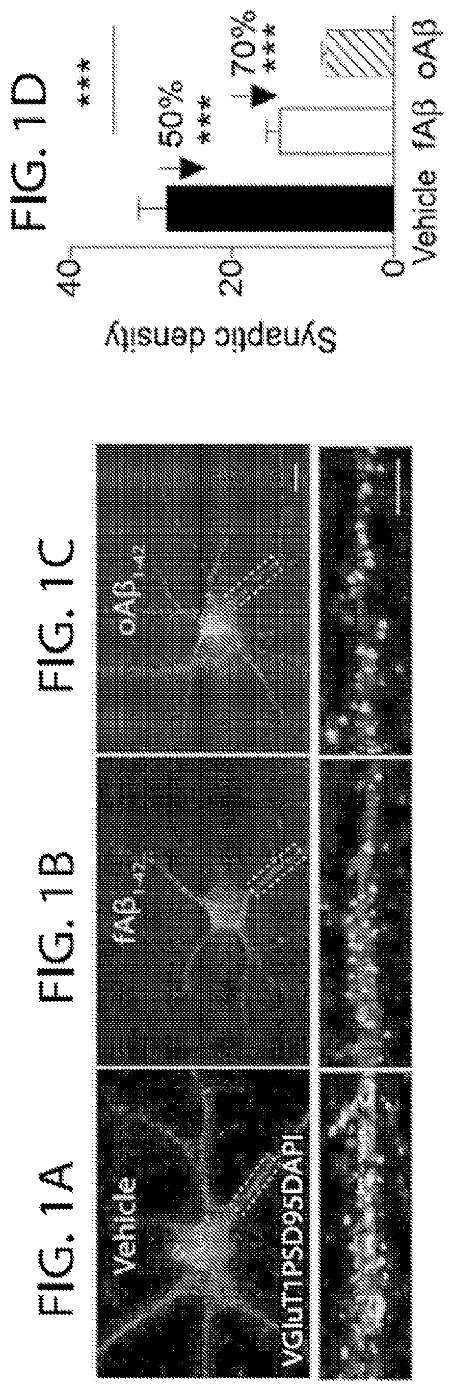 Patent US11779600 — Methods of treating or preventing alzheimer's disease and associated conditions — Figure 1