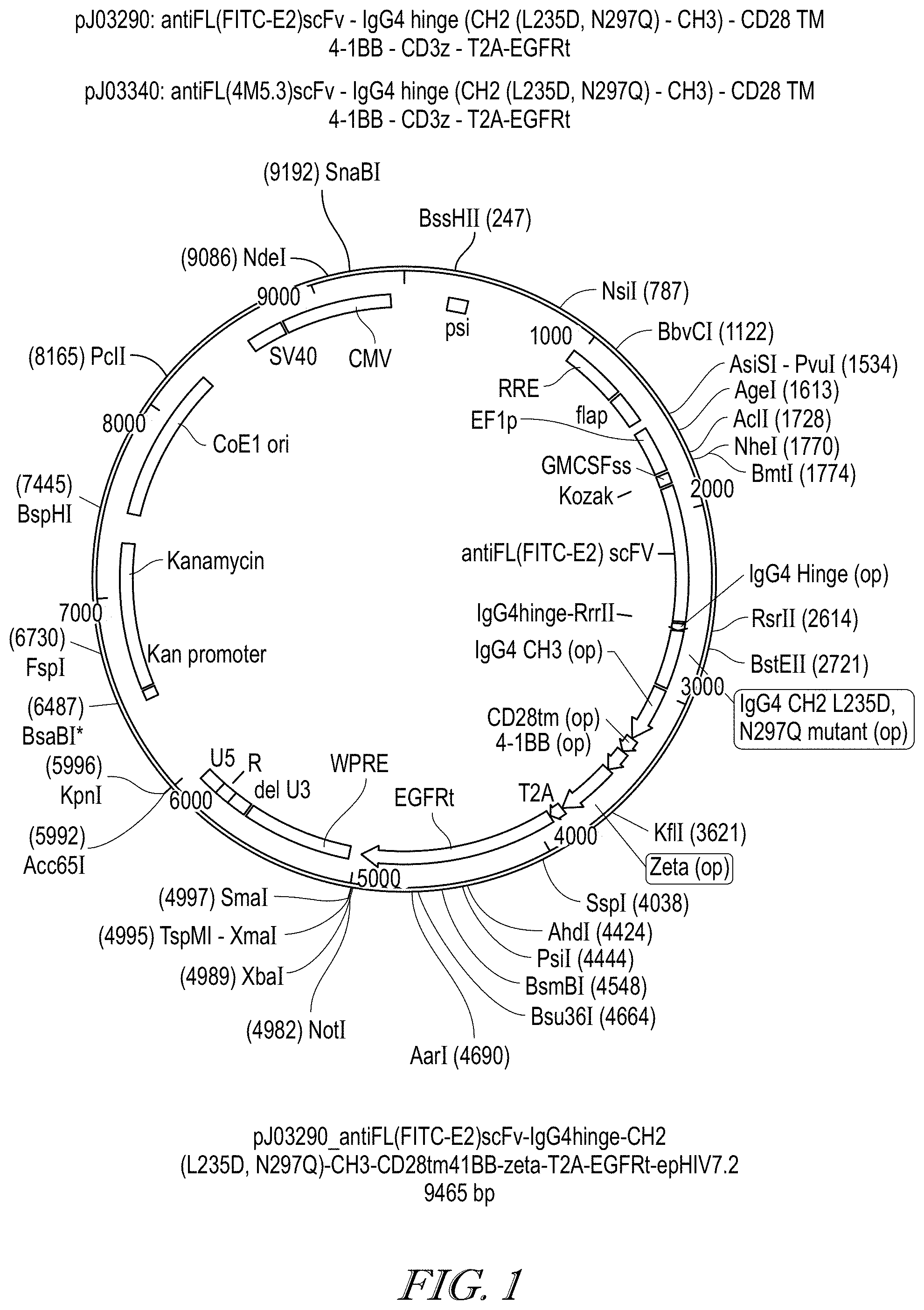 Patent US11779602 — Methods of use for CAR T cells — Figure 1
