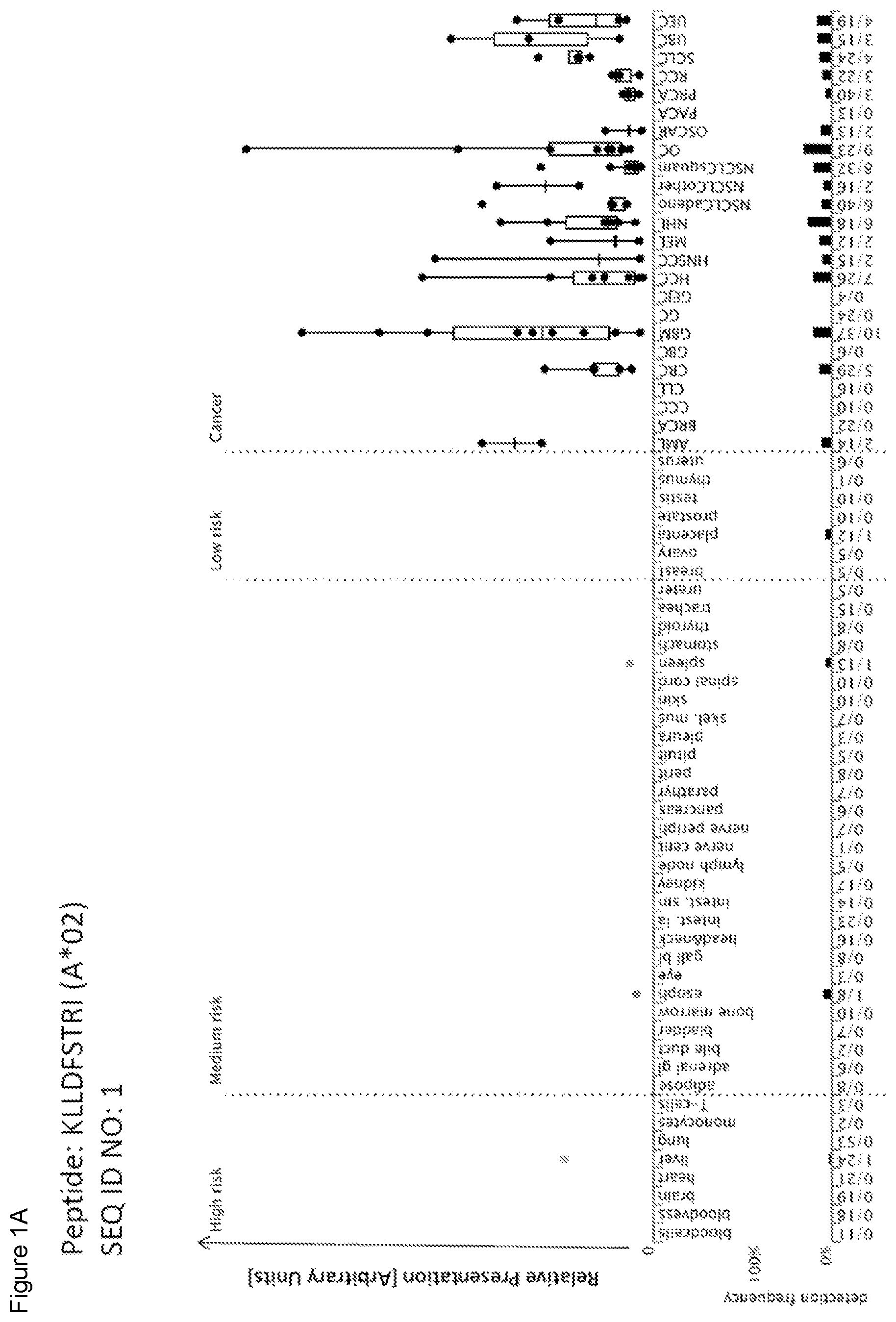 Patent US11779606 — Peptides and combination of peptides of non-canonical origin for use in immunotherapy against different types of cancers — Figure 1