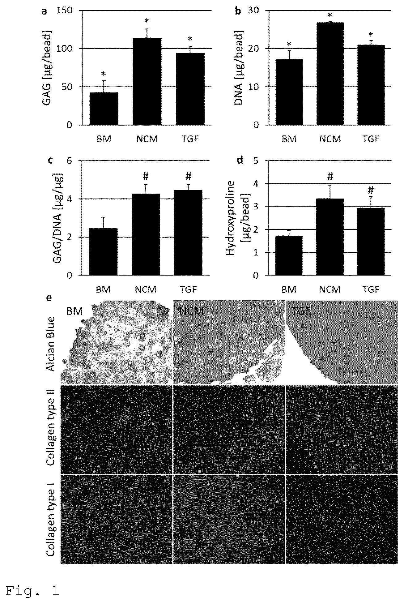 Patent US11779609 — Notochordal cell matrix as a bioactive lubricant for the osteoarthritic joint — Figure 1