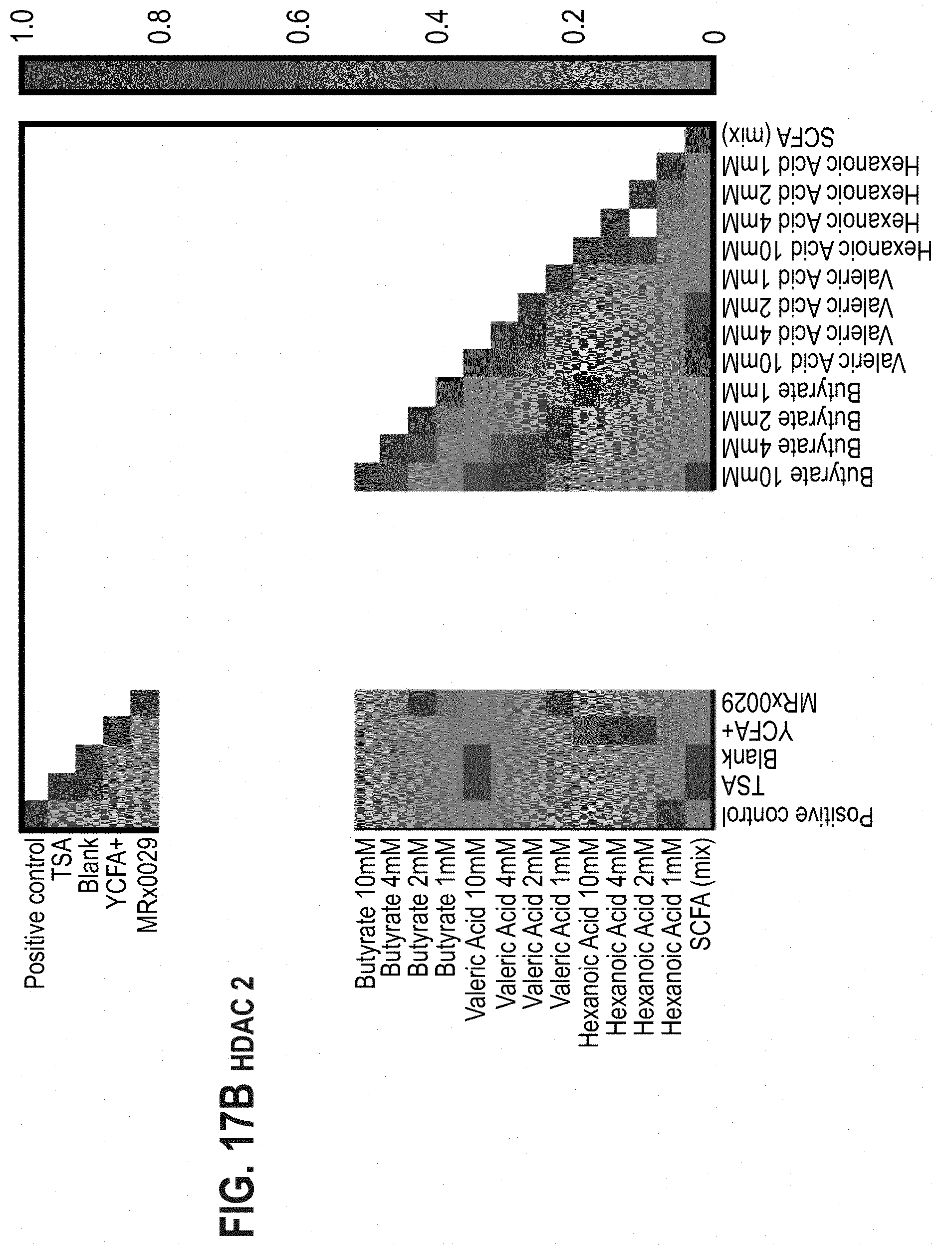 Patent US11779613 Figure 17 – Compositions comprising a bacterial strain of the genus Megasphera and uses thereof