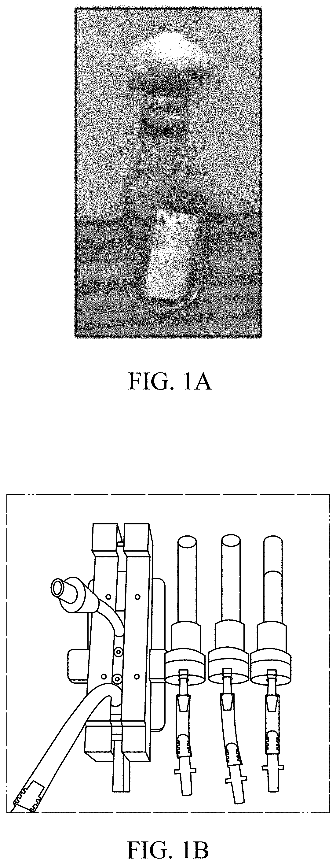 Patent US11779616 — Method of improving memory and learning ability — Figure 1