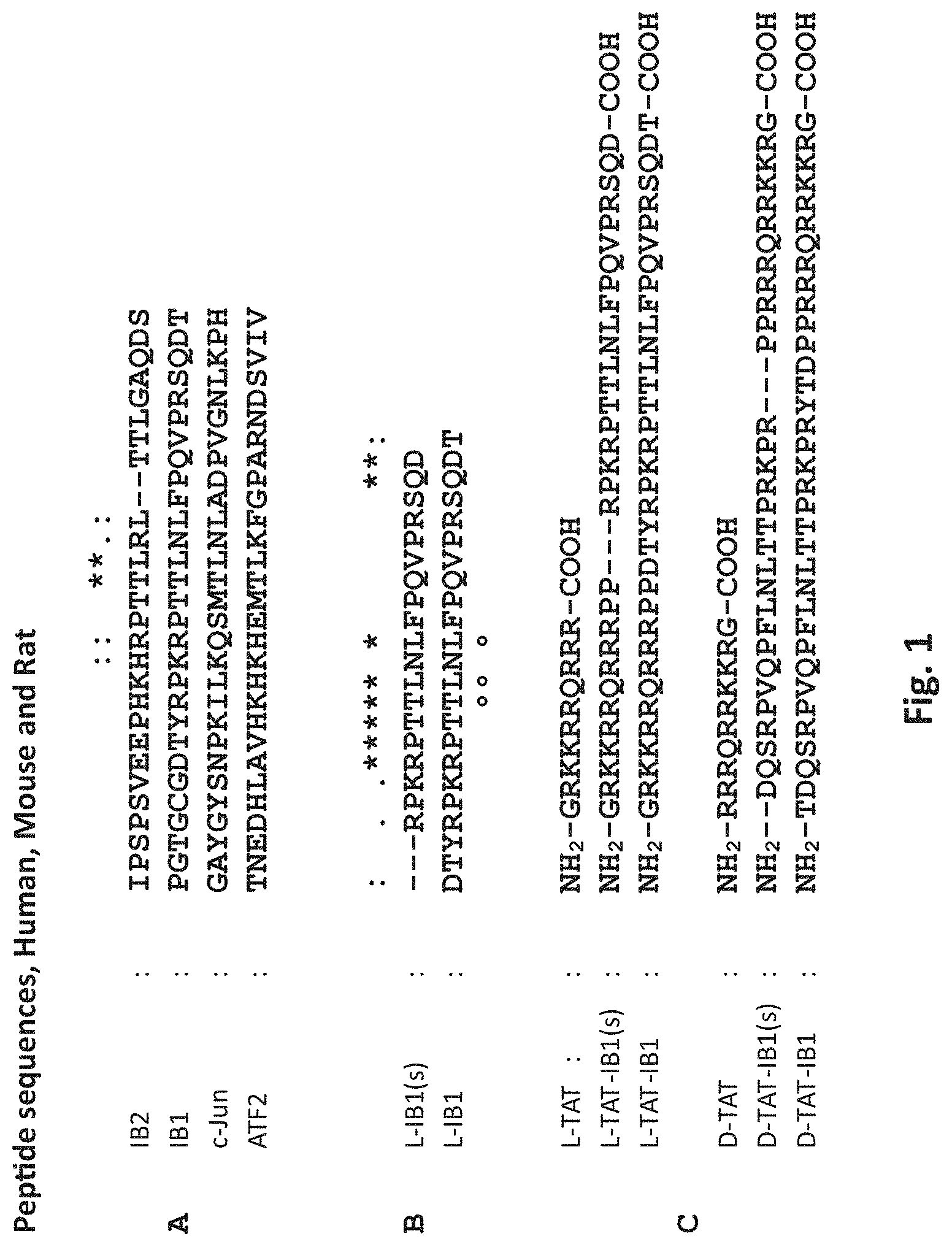 Patent US11779628 — Use of cell-permeable peptide inhibitors of the JNK signal transduction pathway for the treatment of various diseases — Figure 1