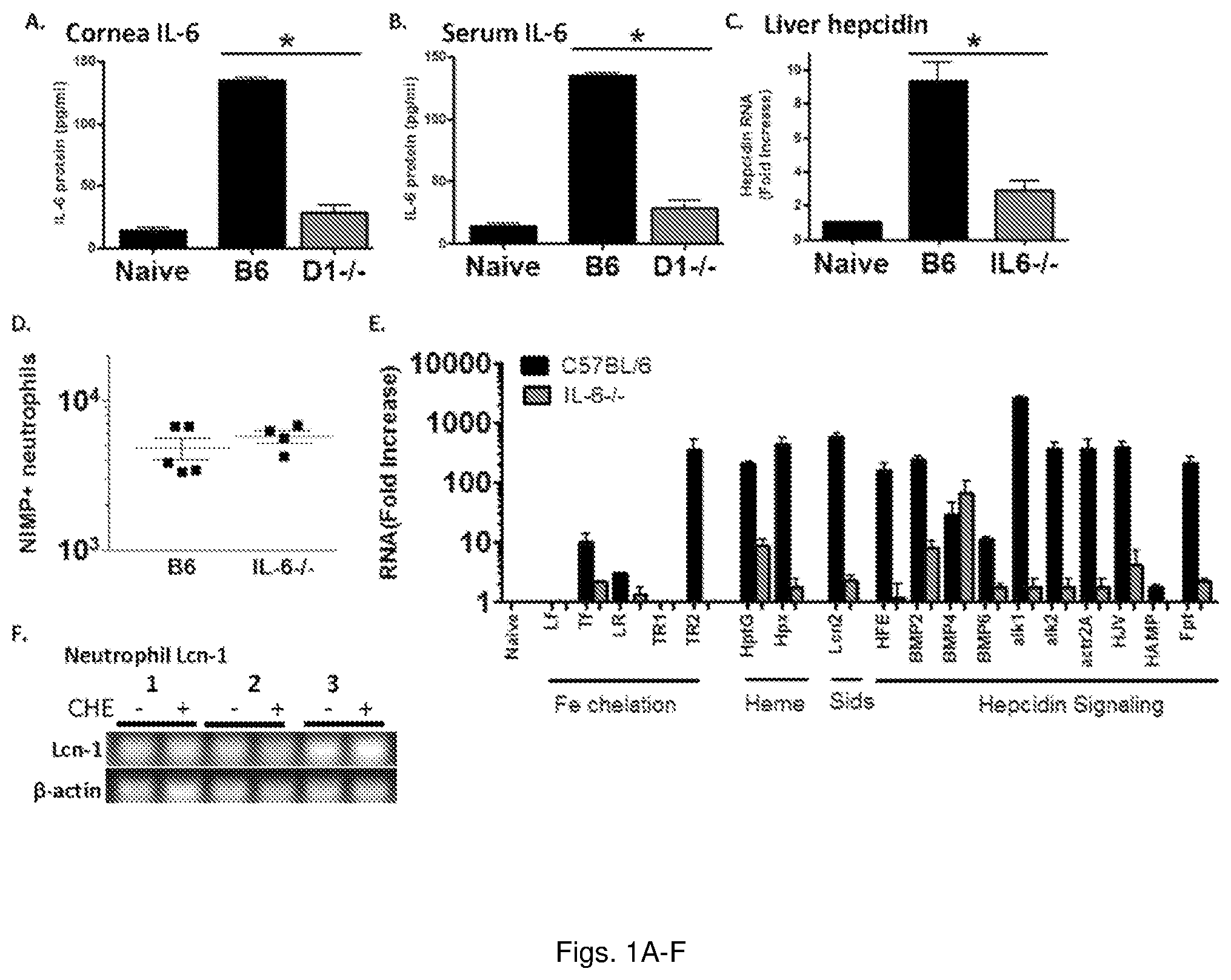 Patent US11779634 — Fungal iron acquisition inhibitors and uses thereof — Figure 1
