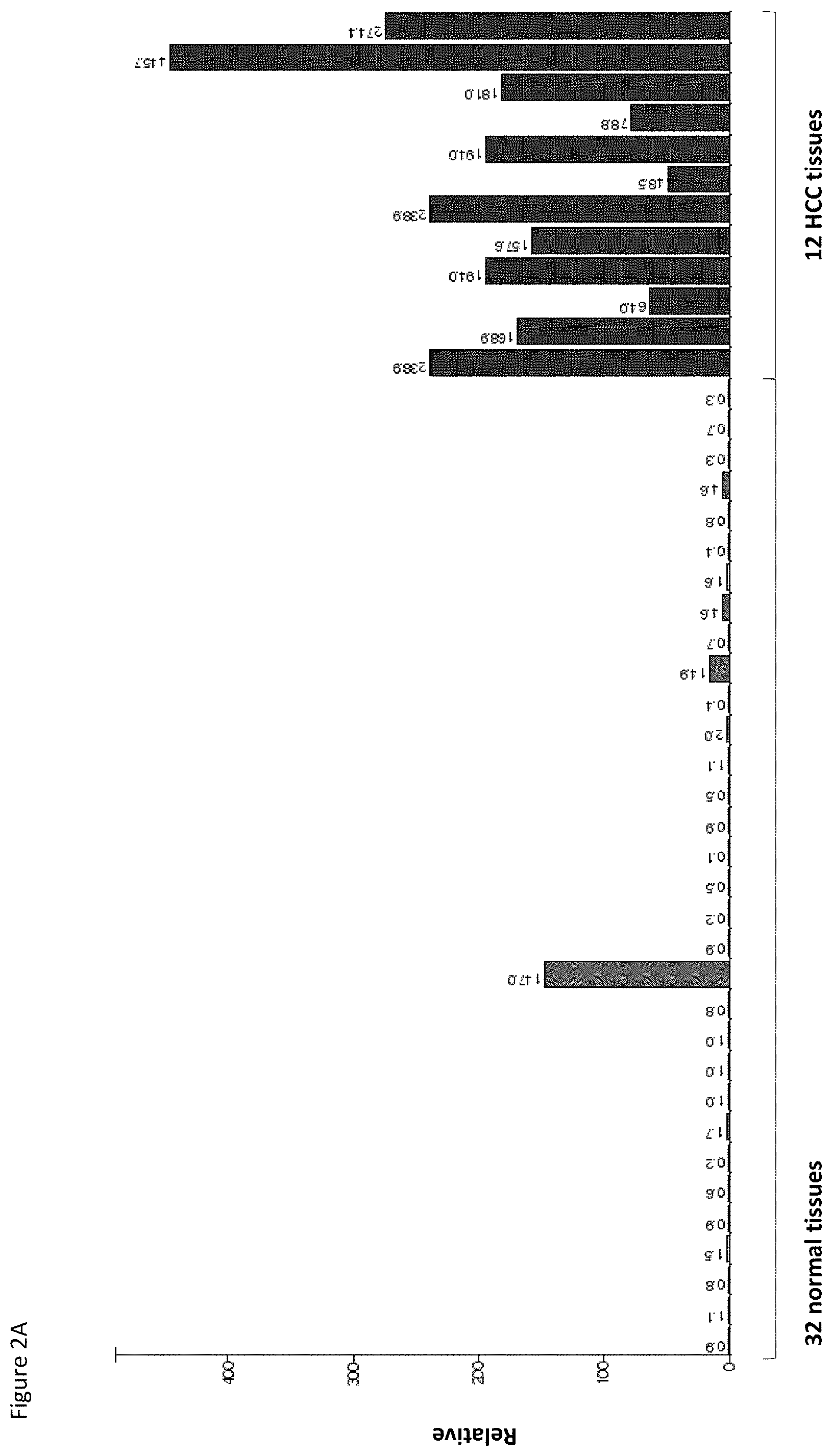 Patent US11779638 Figure 14 – Method of eliciting a CD8+ cytotoxic response in hepatocellular carcinoma patients with a population of activated T cells