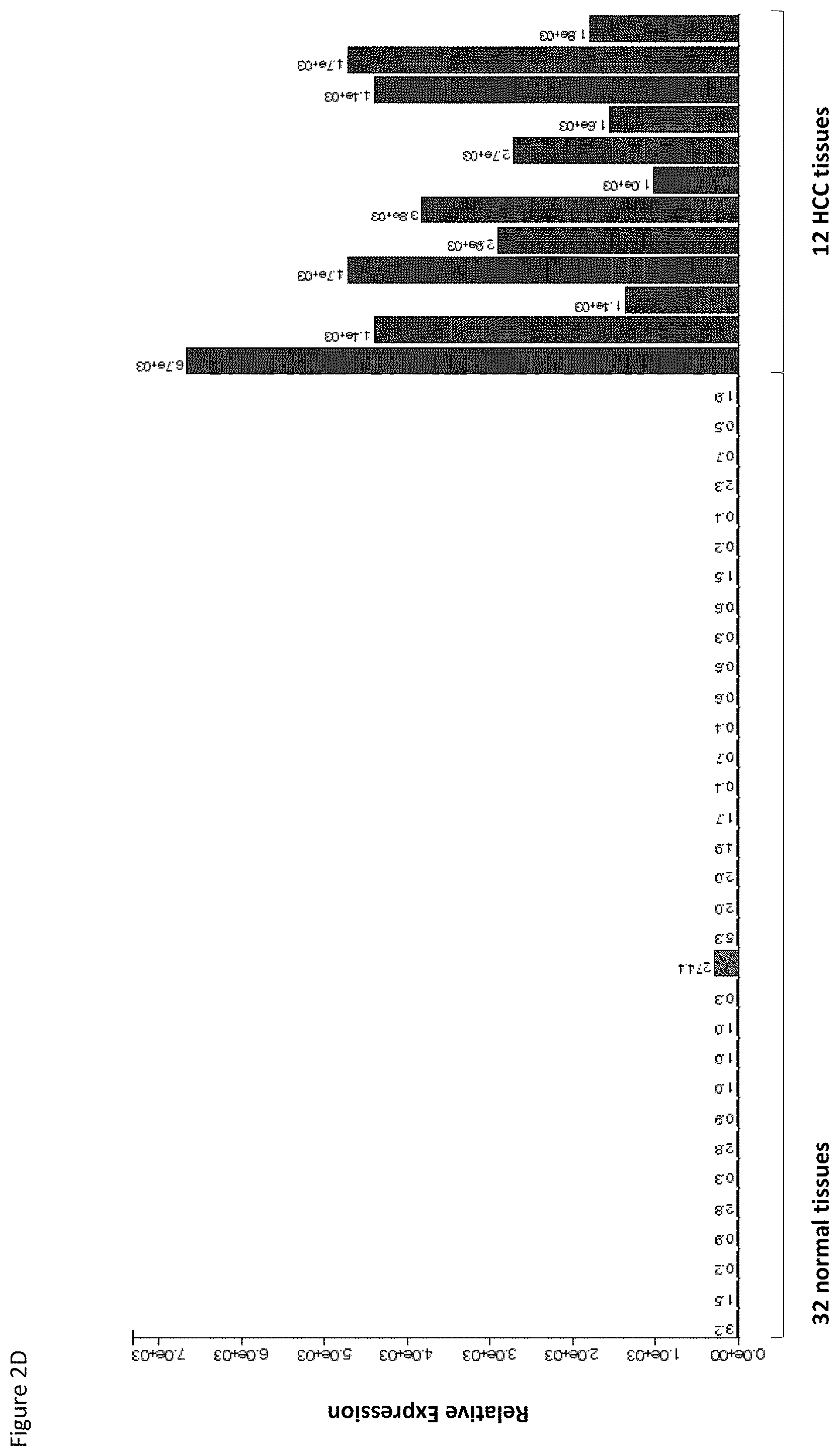 Patent US11779638 Figure 17 – Method of eliciting a CD8+ cytotoxic response in hepatocellular carcinoma patients with a population of activated T cells